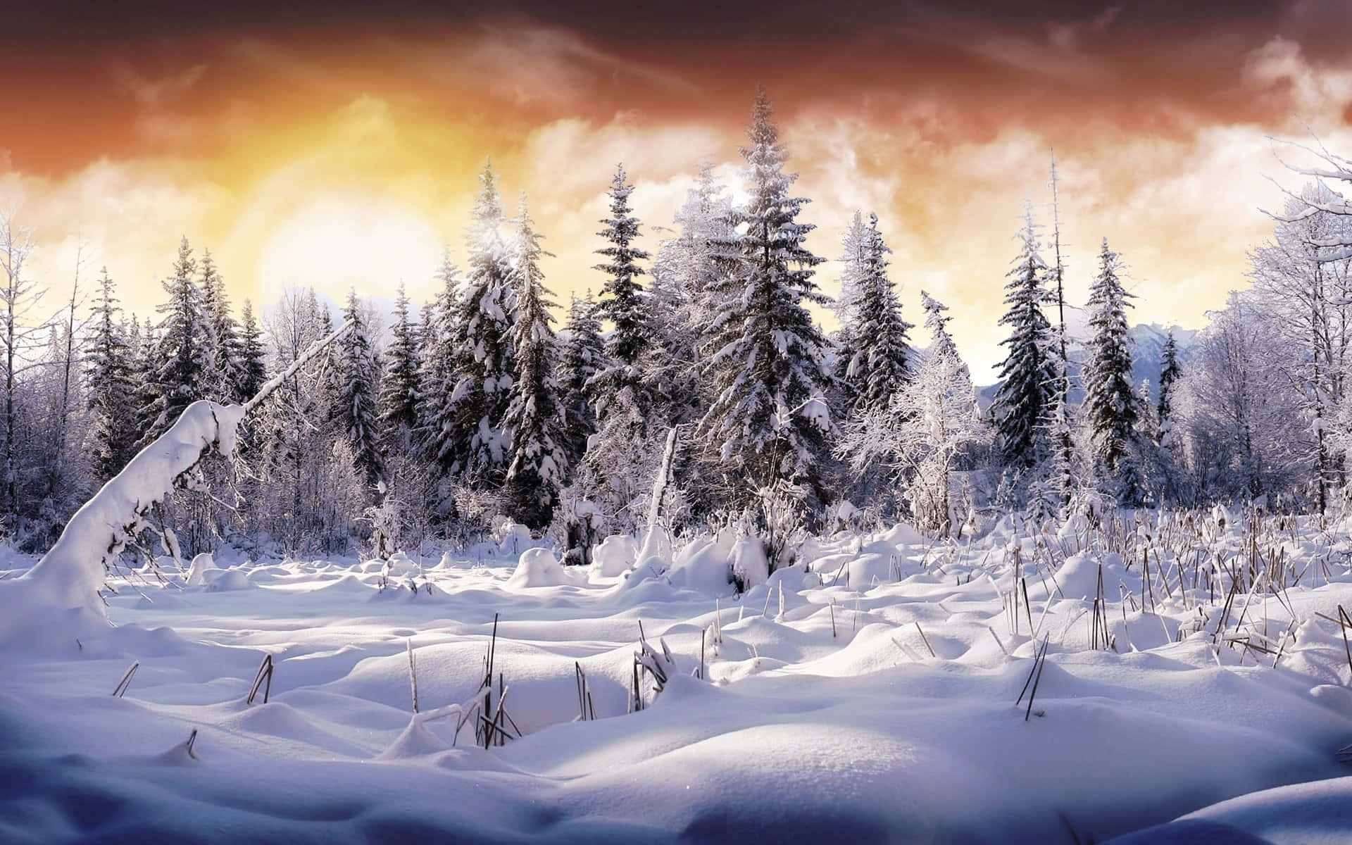 Snowy Days Are The Coziest Days! Background