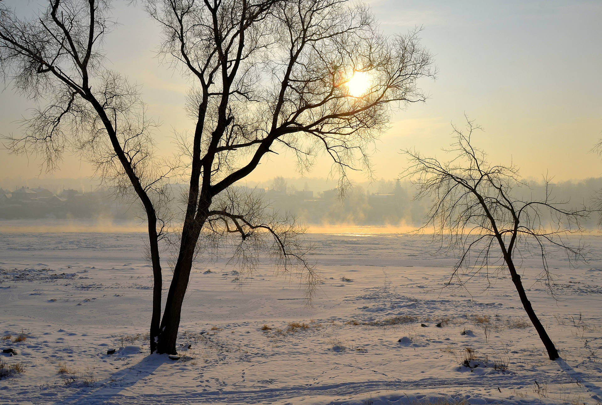 Snowy Forest During Sunset In Lithuania Background