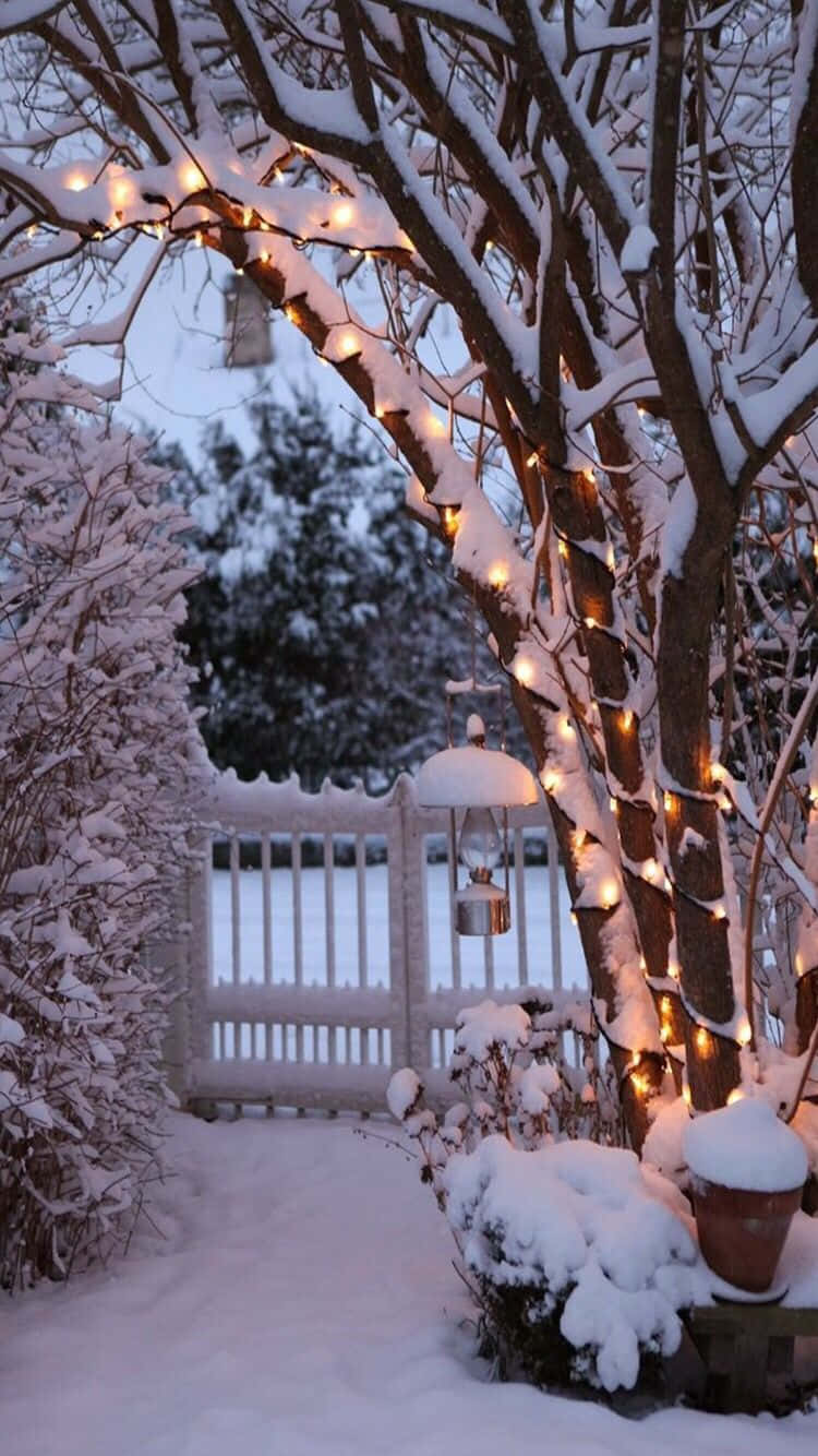 Snowy Gate Cozy Winter Tumblr Background