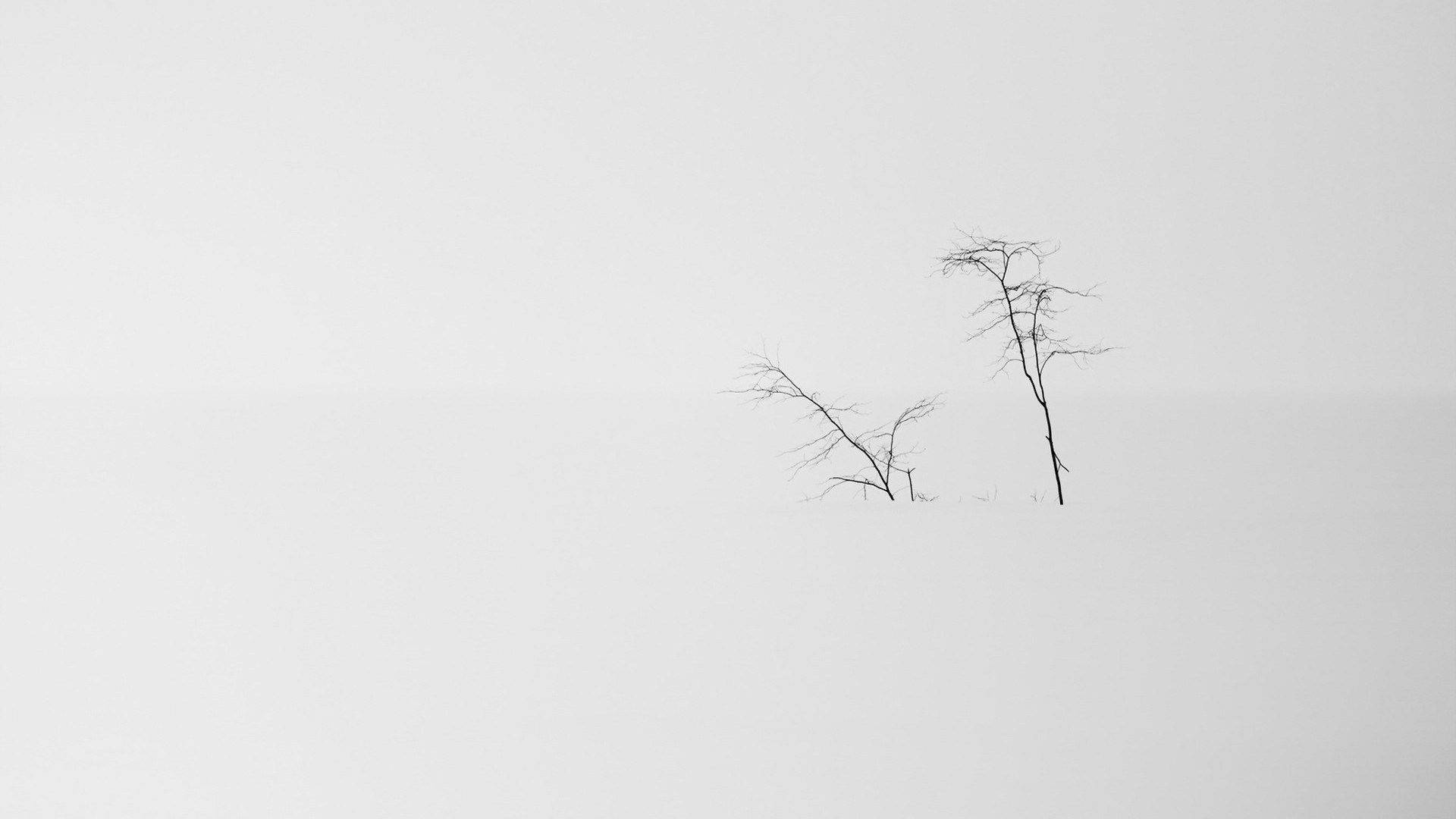 Snowy Landscape Minimalist Aesthetic Laptop Background