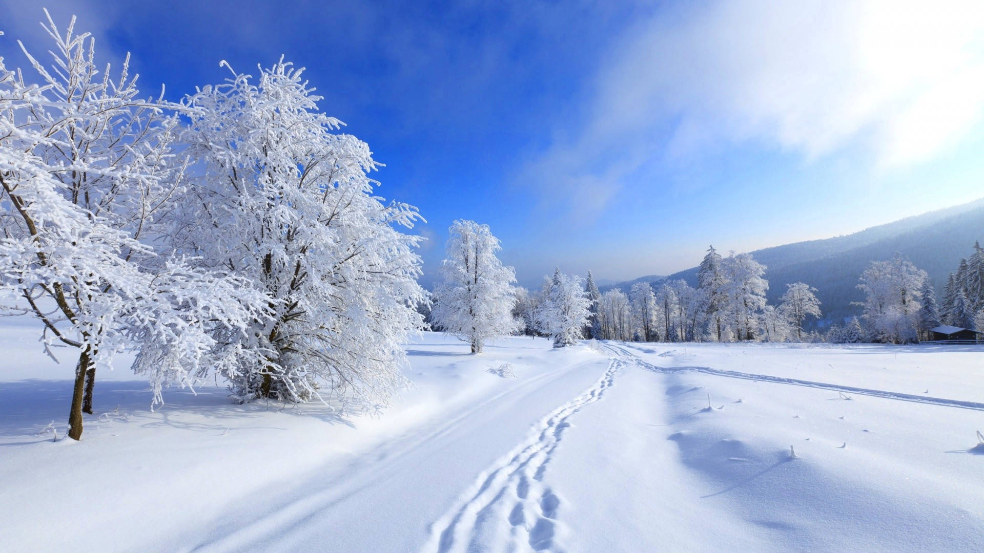 Snowy Landscape Winter Desktop