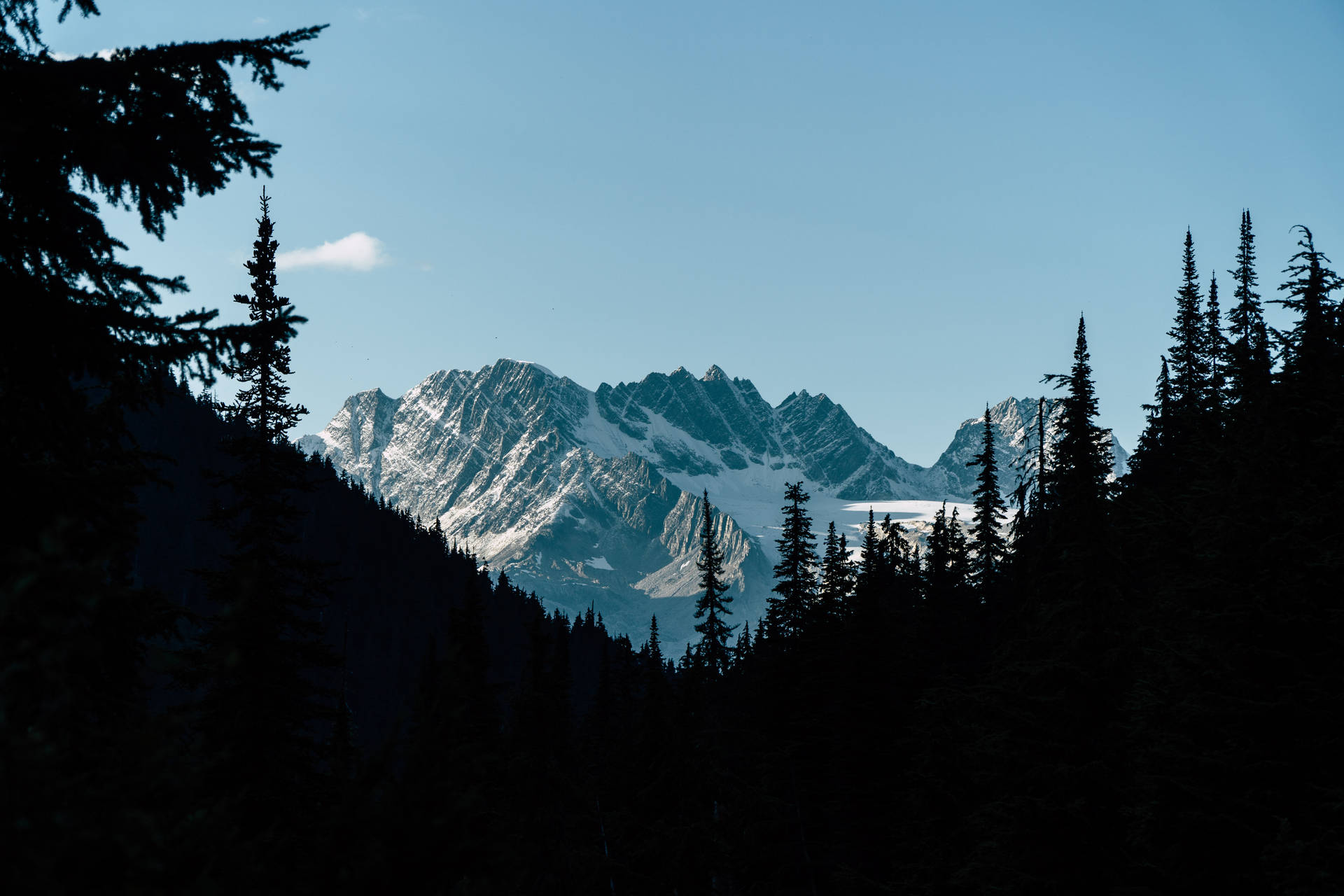 Snowy Mountain Dark Forest Background