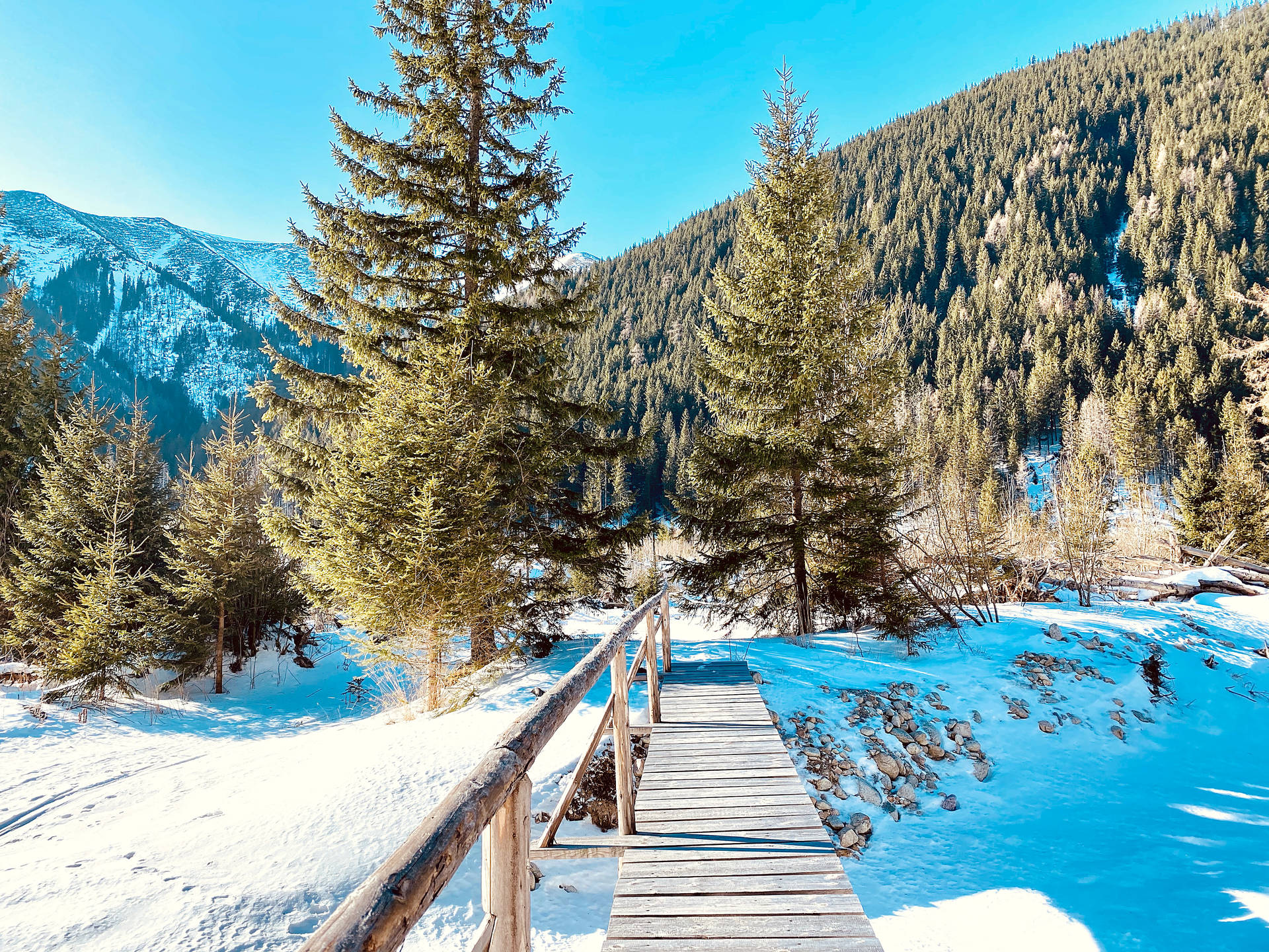 Snowy Mountain Most Beautiful Nature