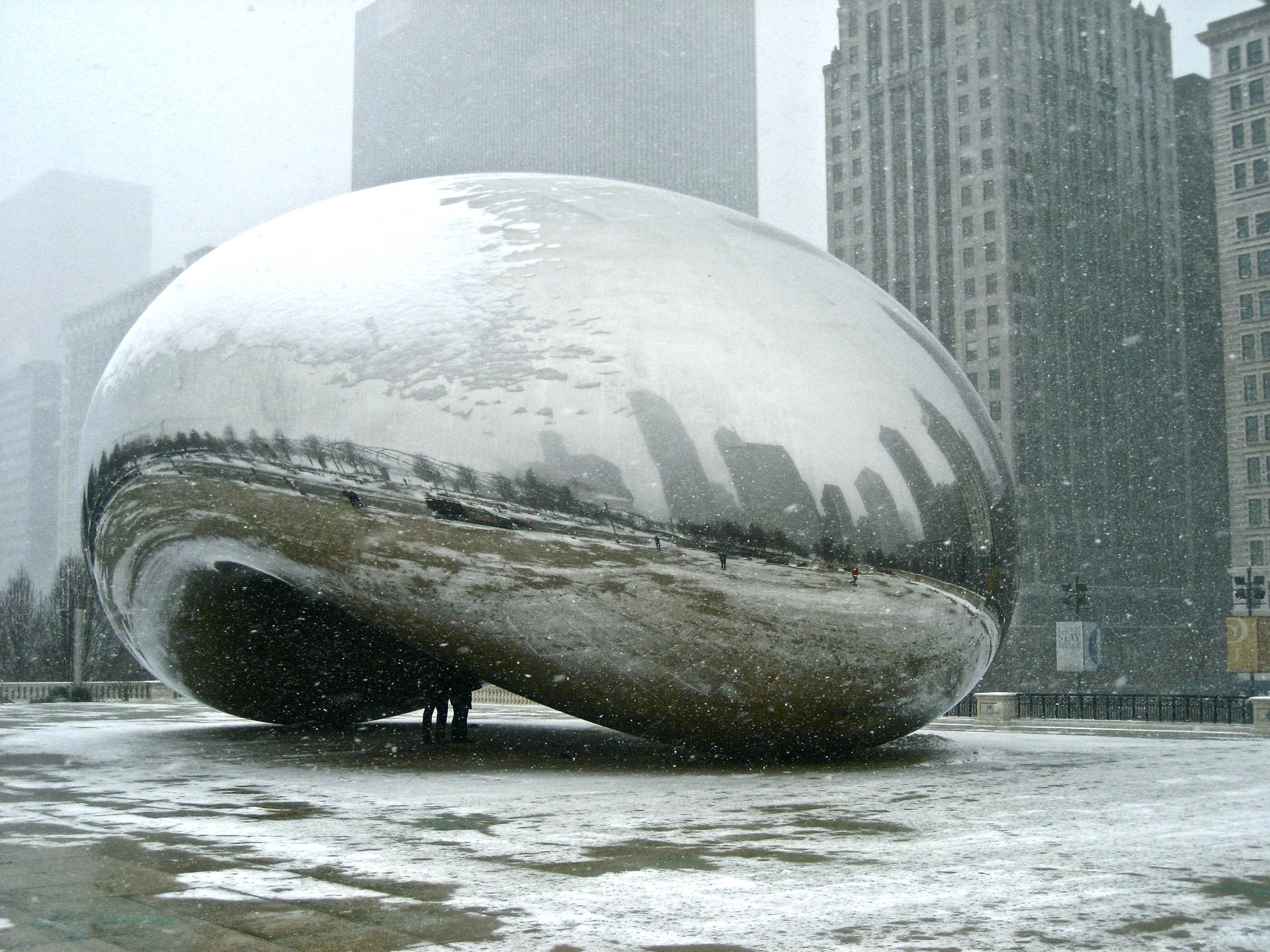 Snowy The Bean Chicago