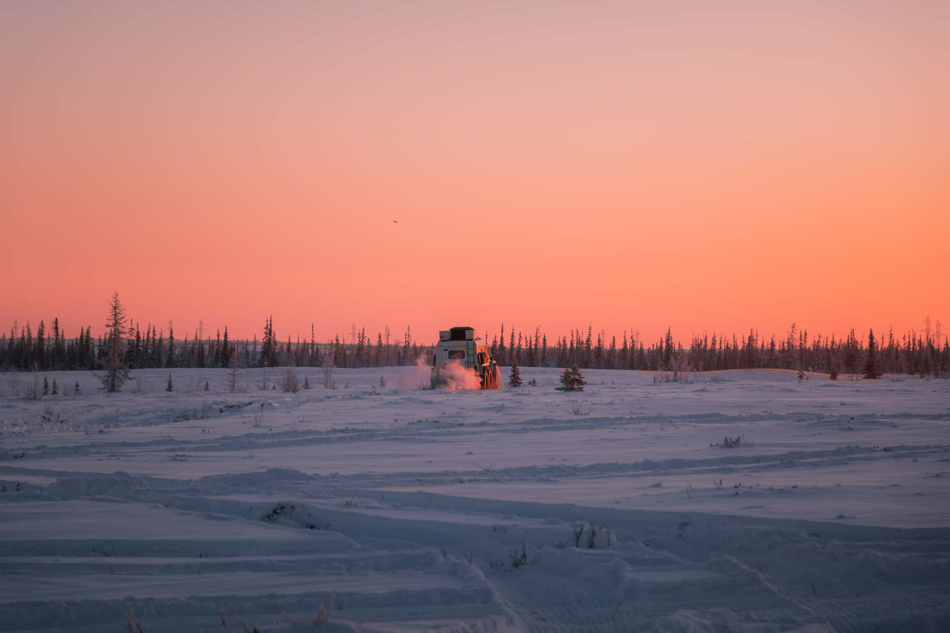 Snowy Tundra With Shrubbery Background