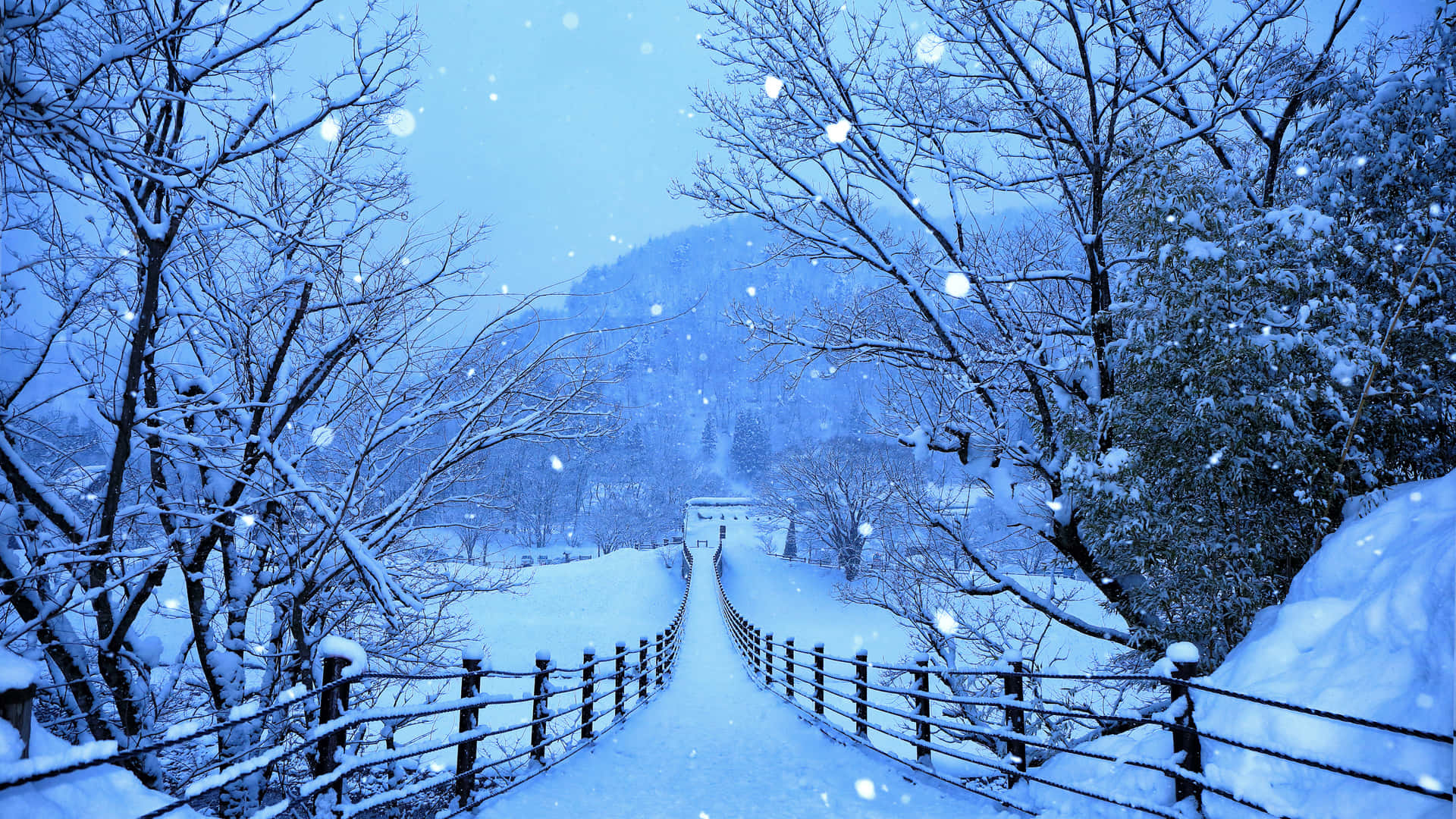 Snowy Winter Path For Laptop Background