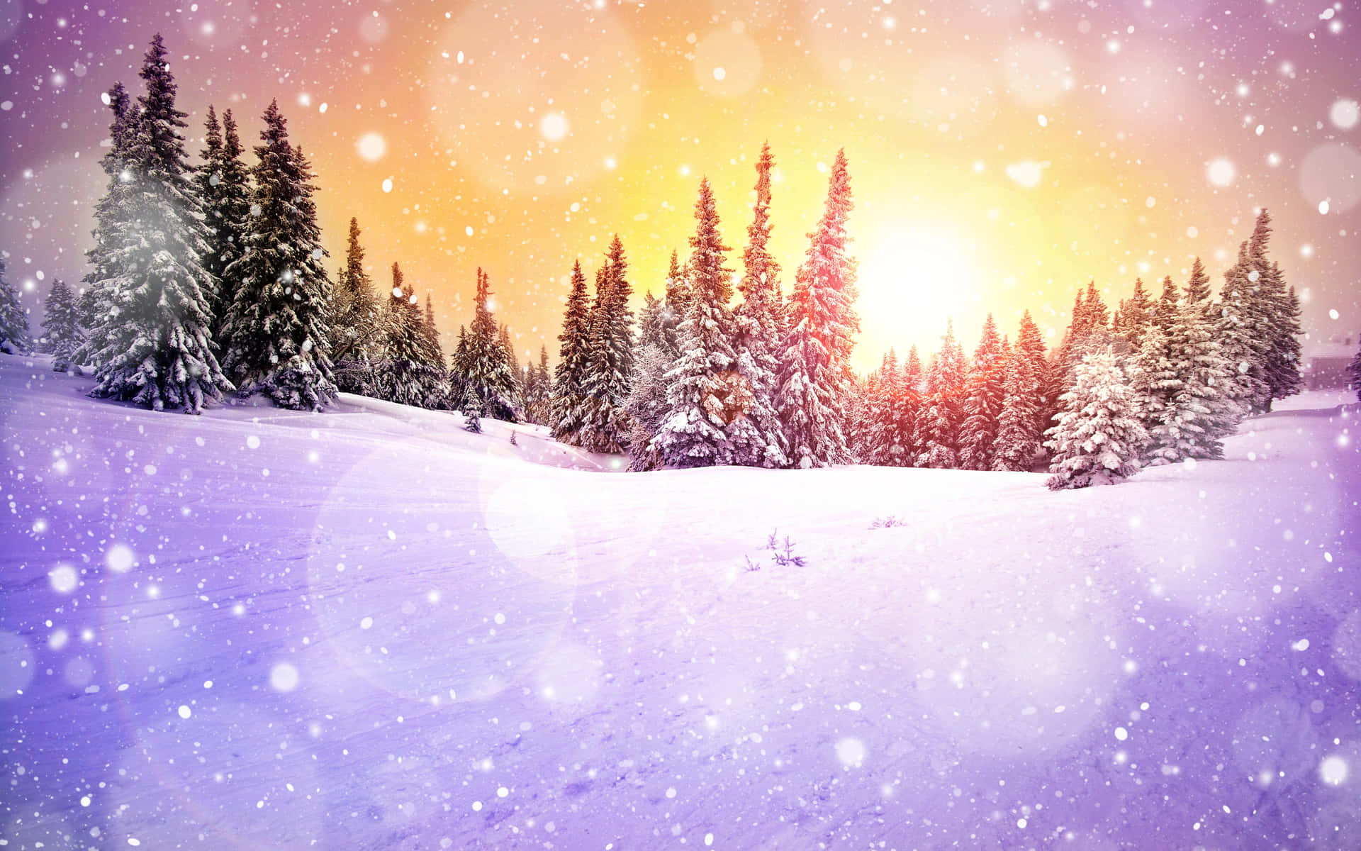 Snowy Winter Wonderland Background