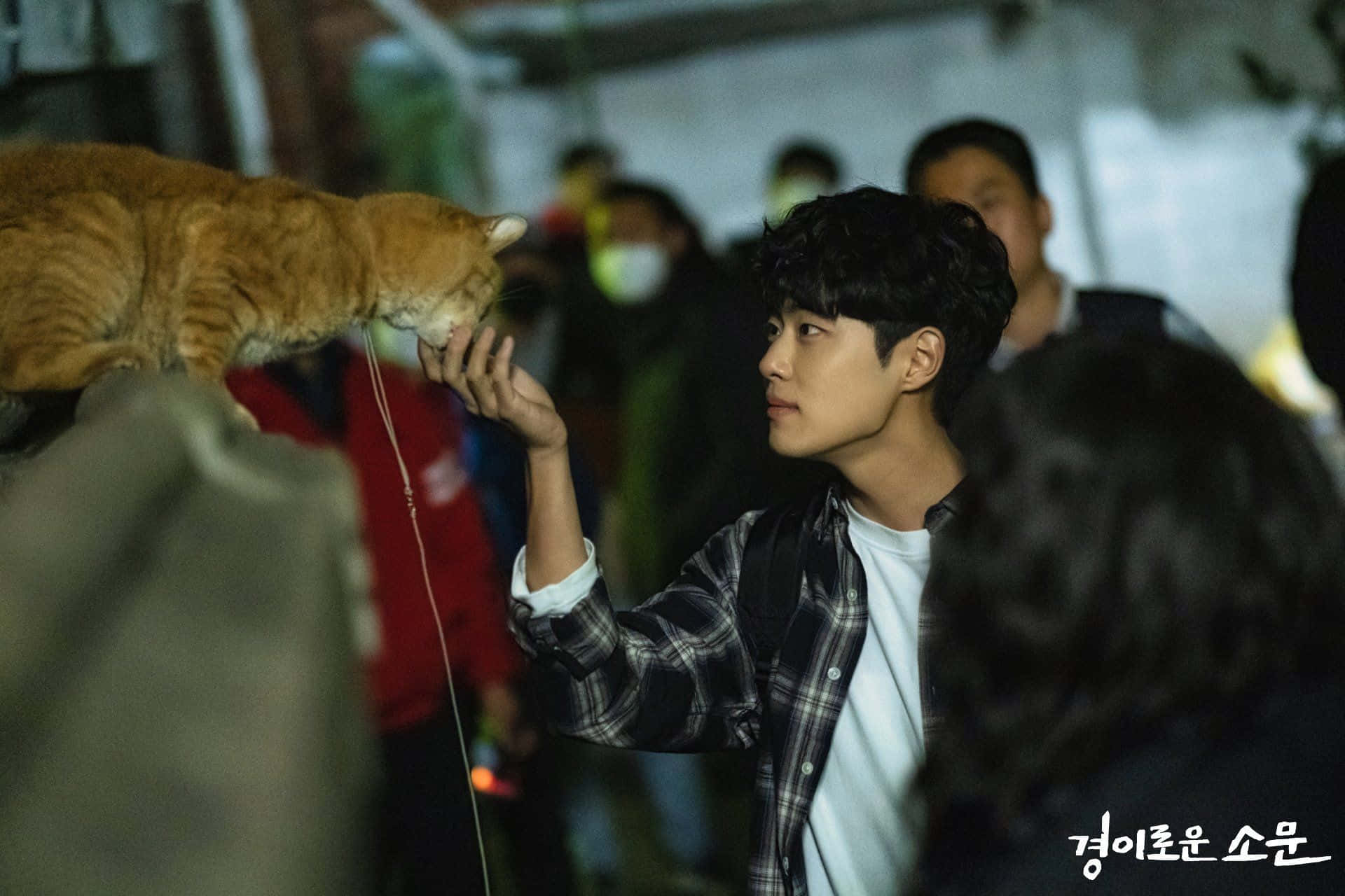 So Moon - The Uncanny Counter In Action Background