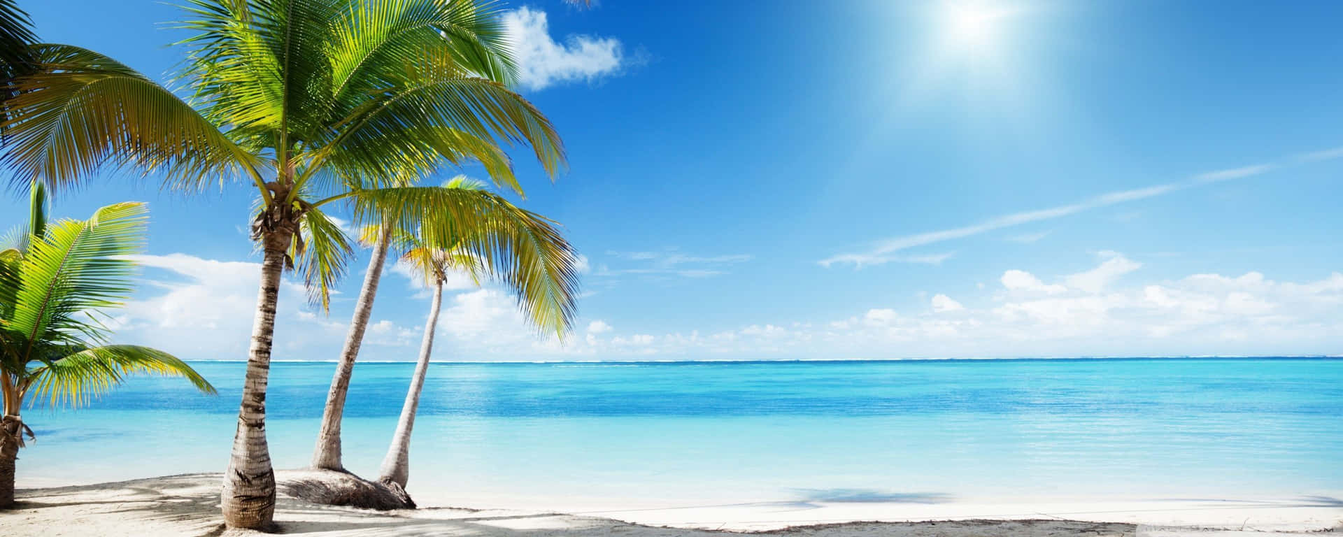 Soak Up The Sun From Home With A Beach Dual Monitor Background