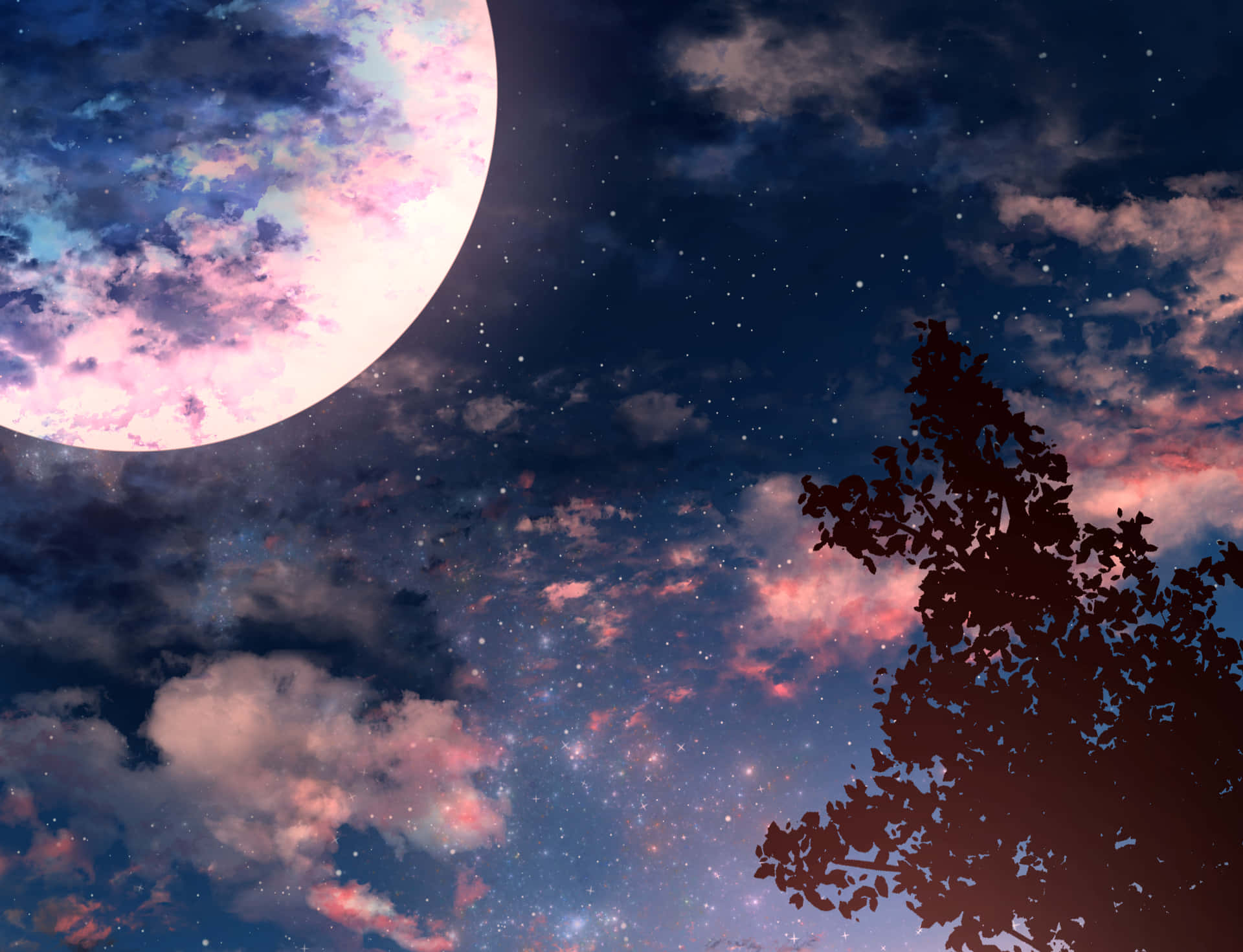 Soaking In The Stunning Beauty Of The Aesthetic Night Sky.