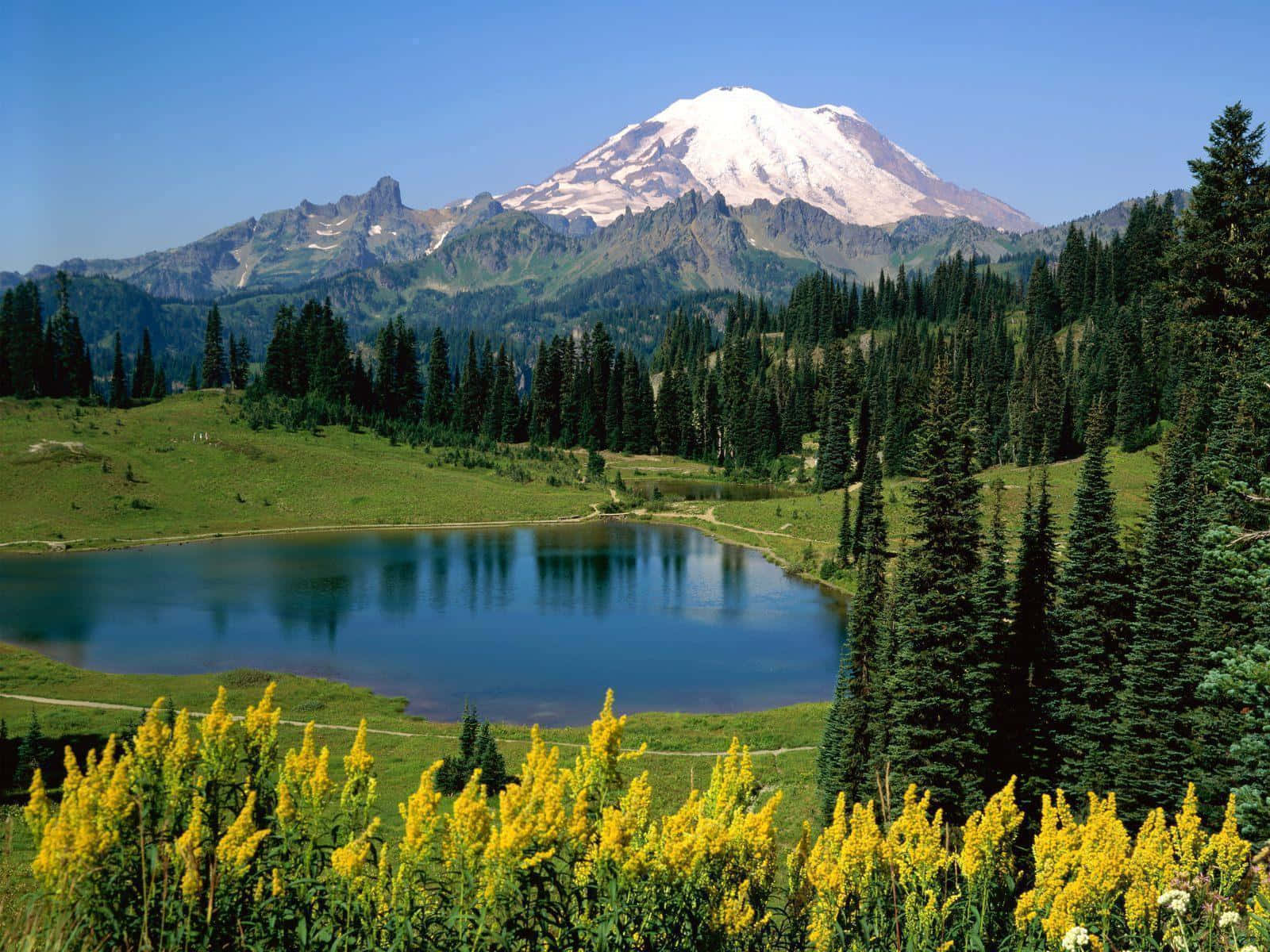 Soar Through Majestic Mountain Scenes Background