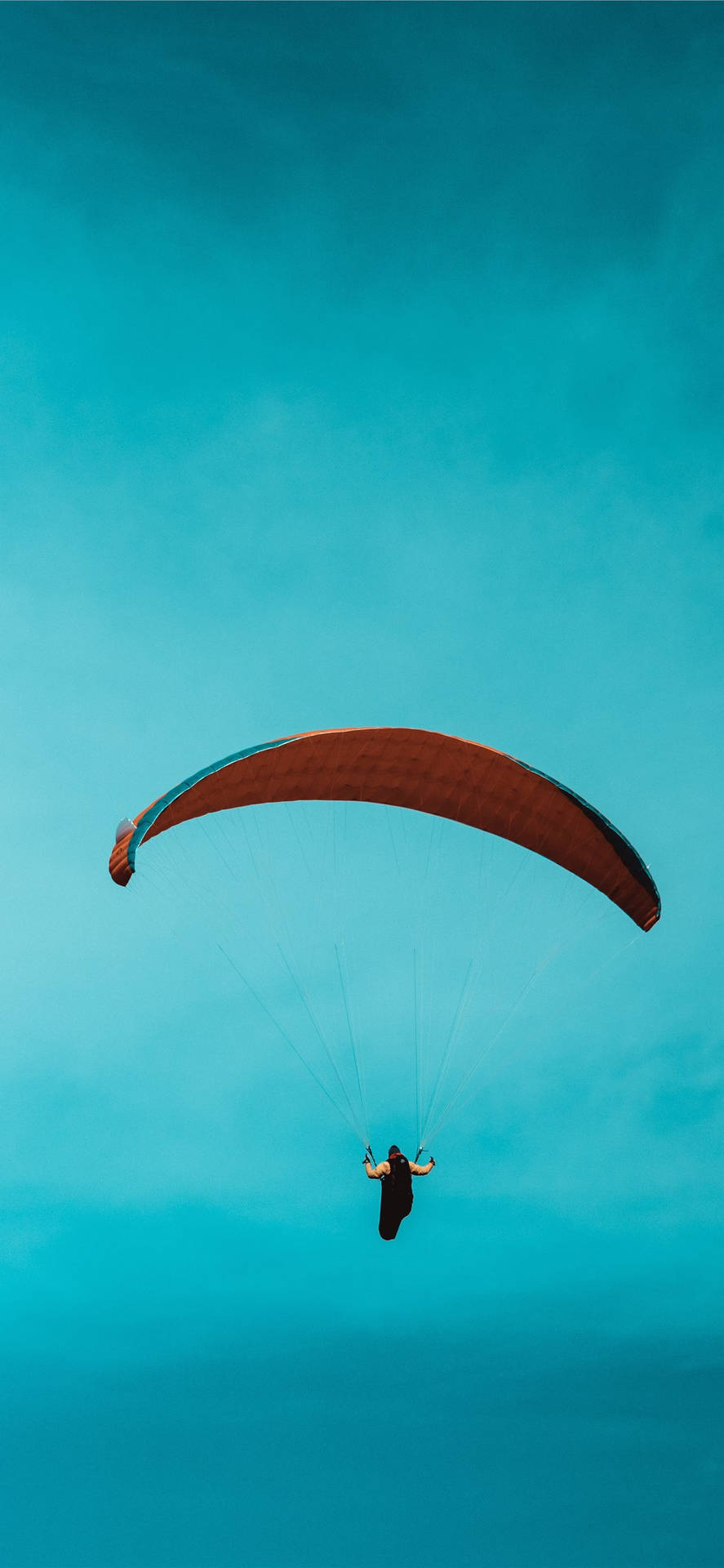 Soaring High With Parasailing Background