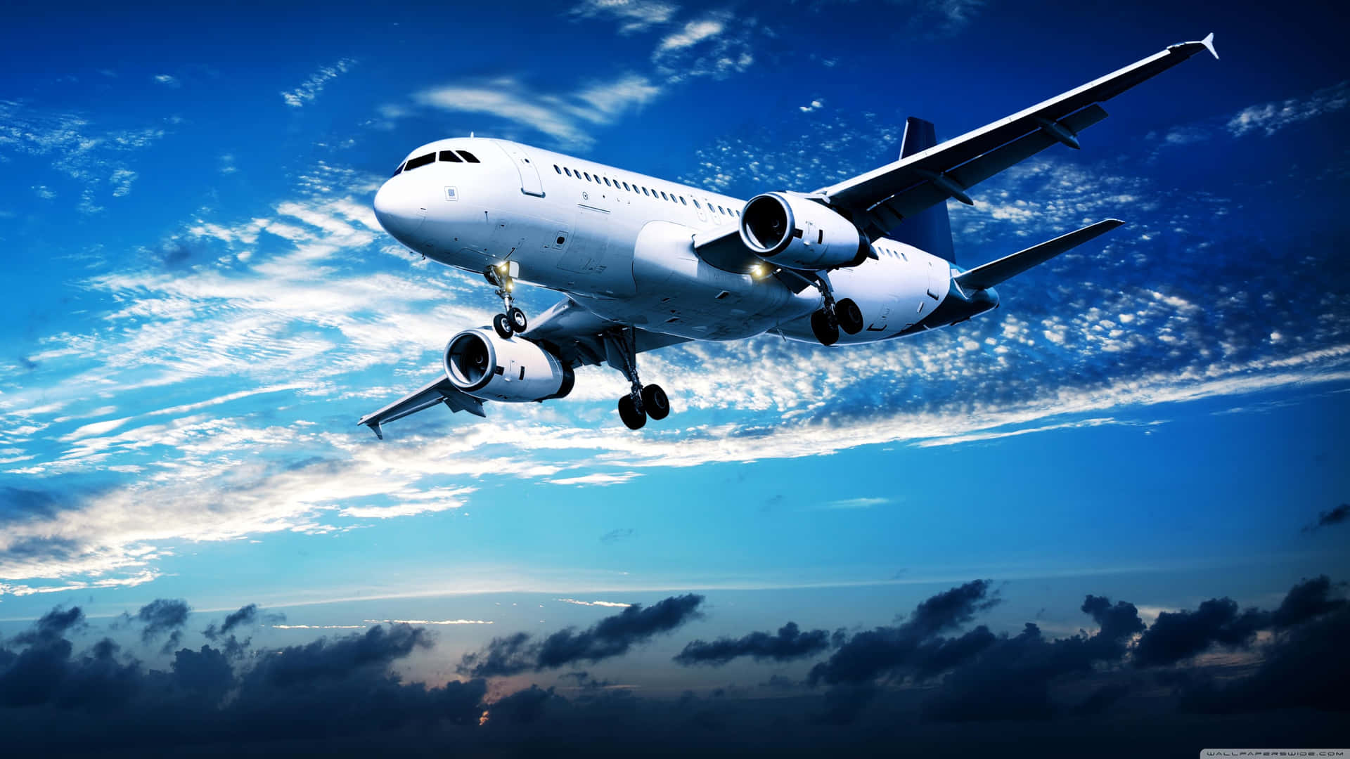 Soaring Through Blue Skies Aboard A Flight Background