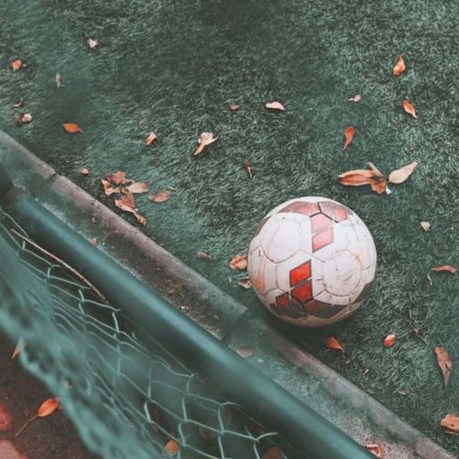 Soccer Aesthetic On Grass And Leaves Background