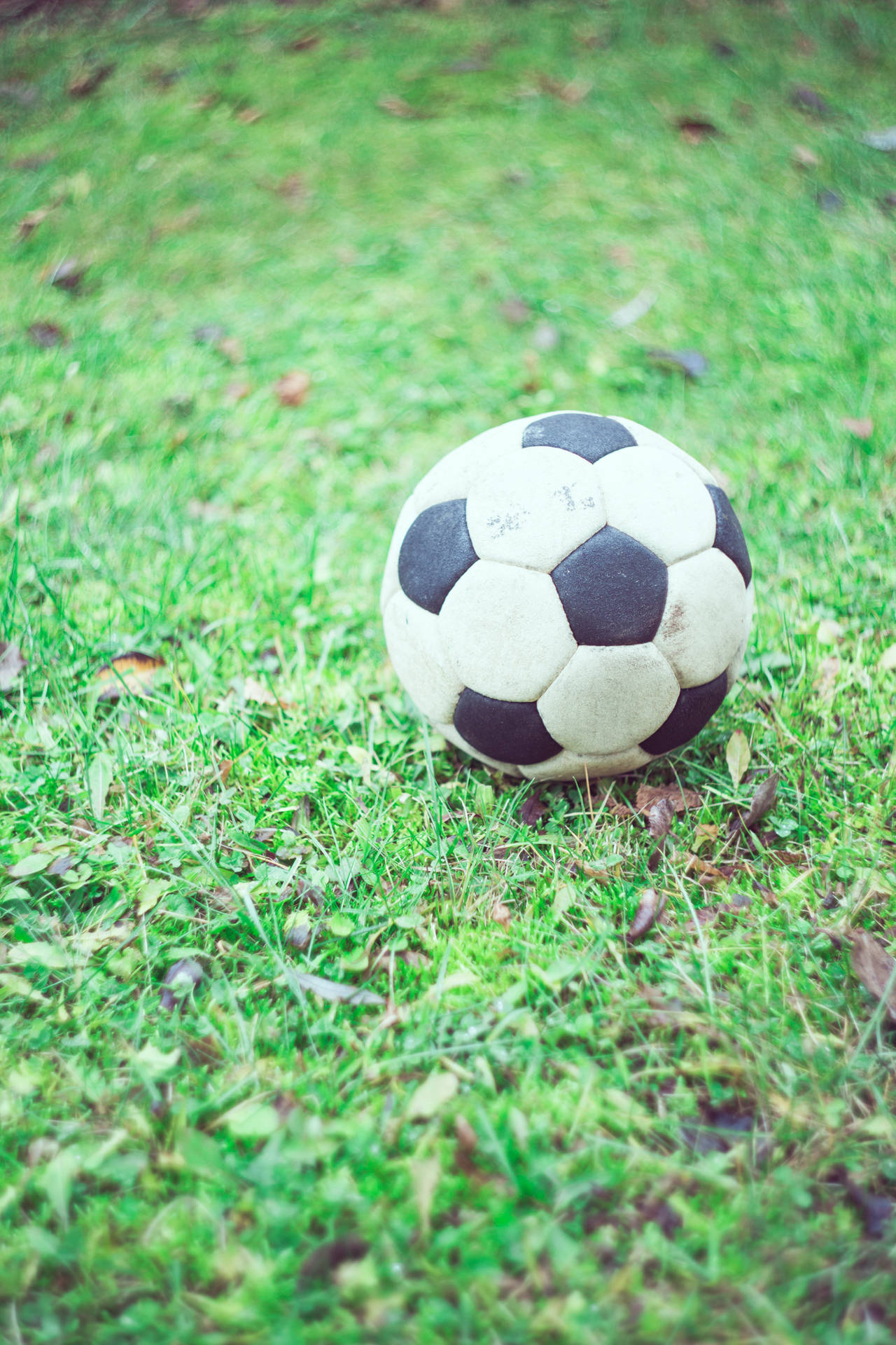 Soccer Ball On Grass Background