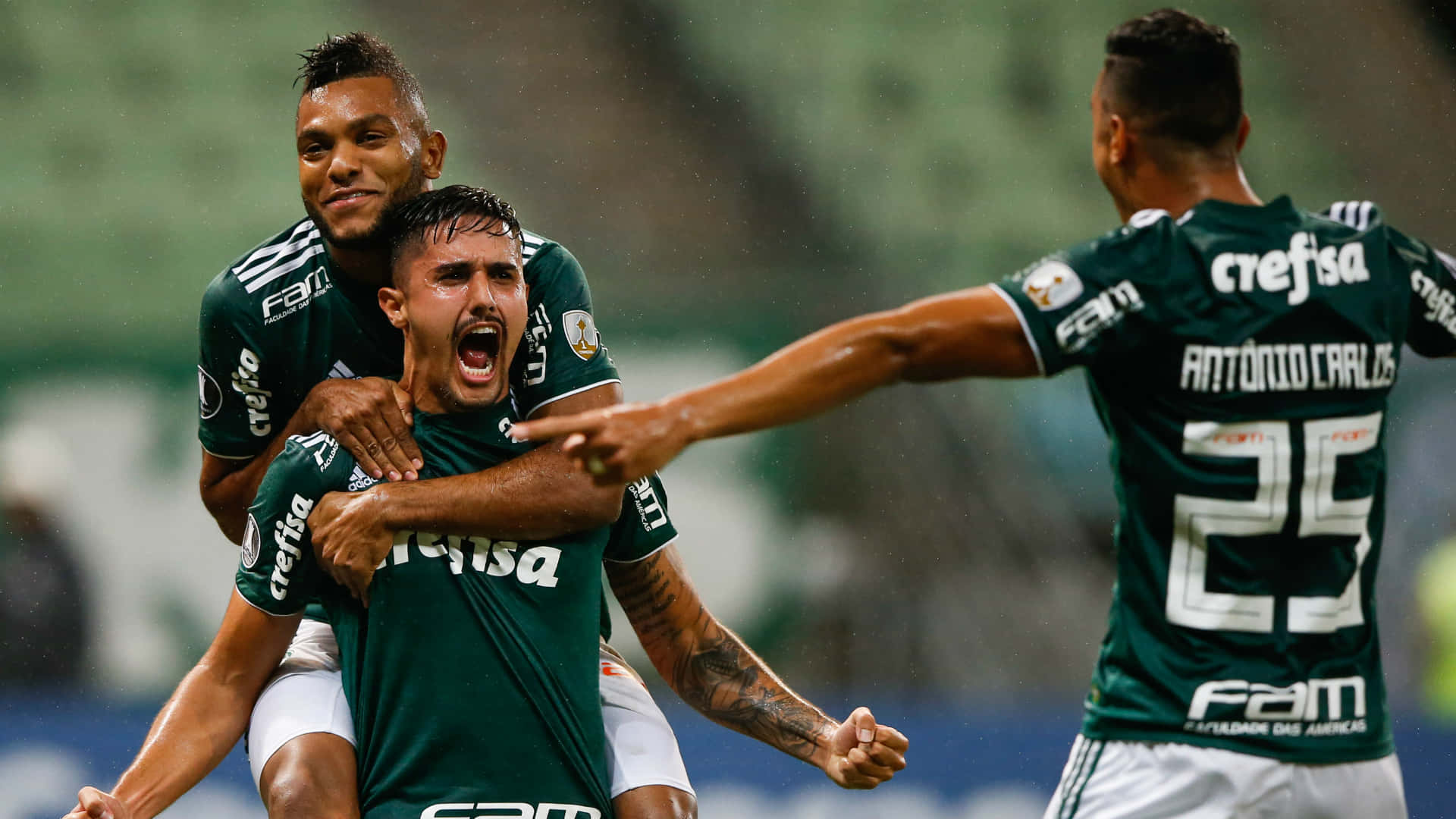 Soccer Celebration Palmeiras Players Background