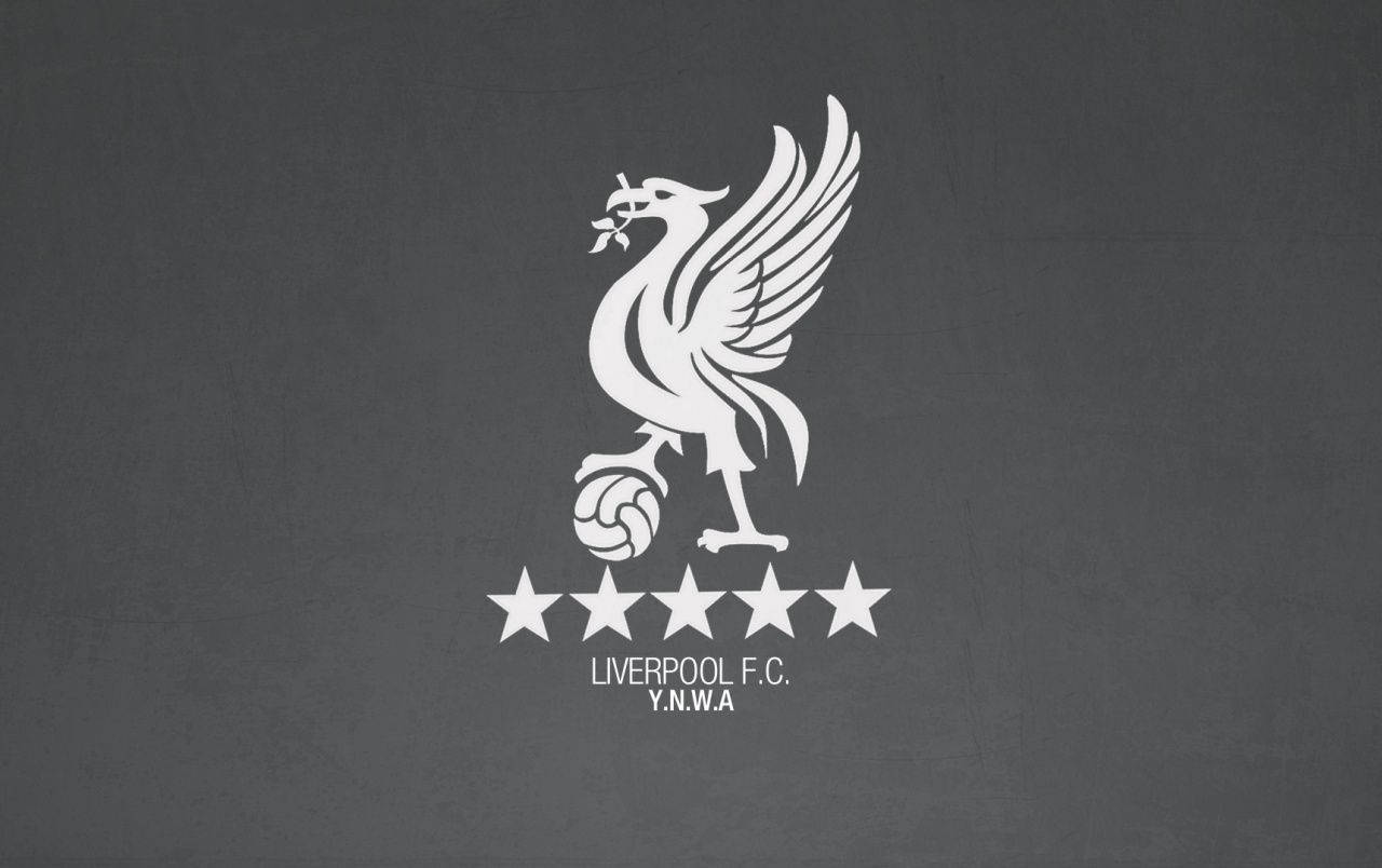 Soccer Passion - Liverpool Fc Background
