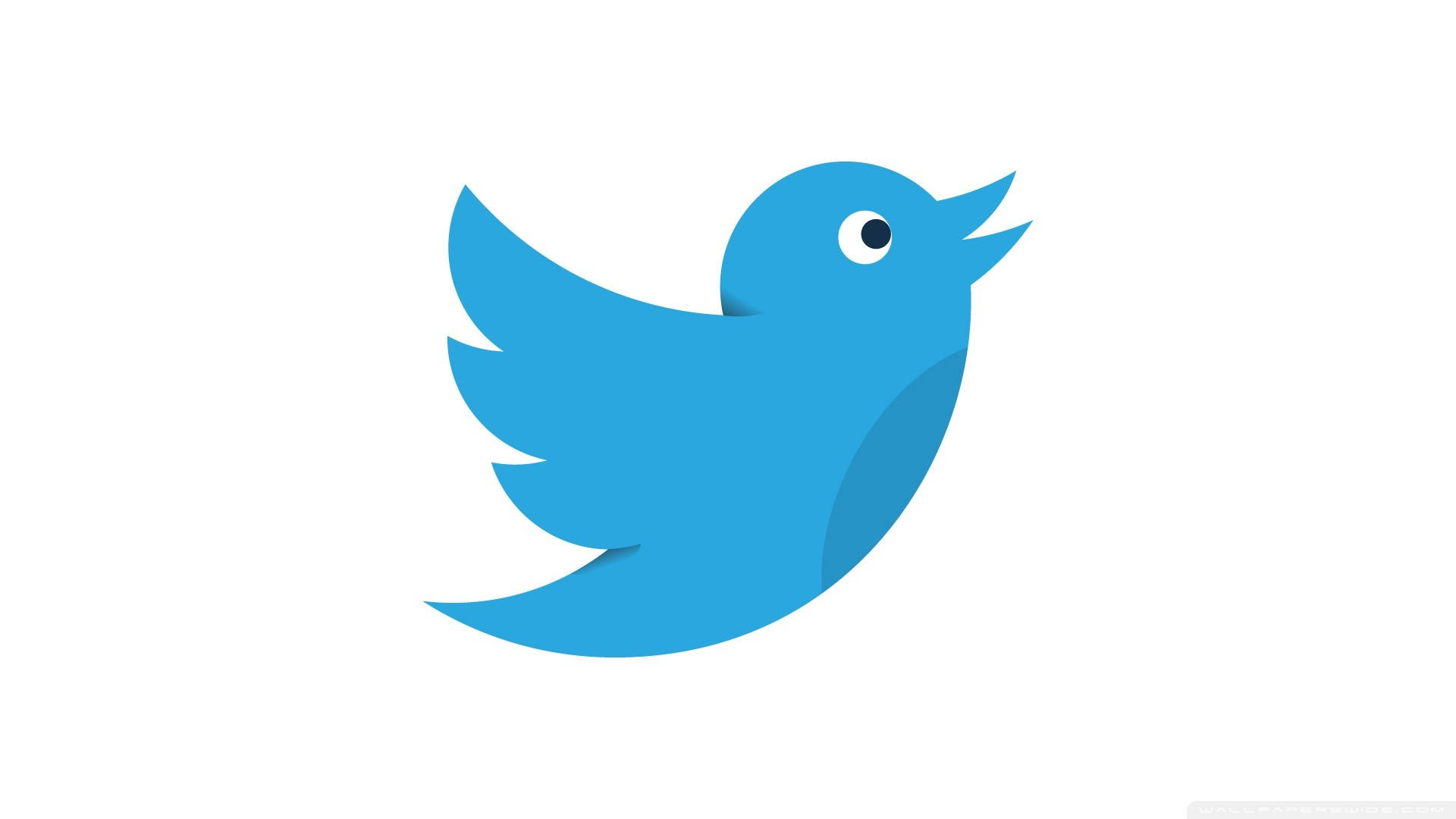 Social Media Twitter Bird Icon Background