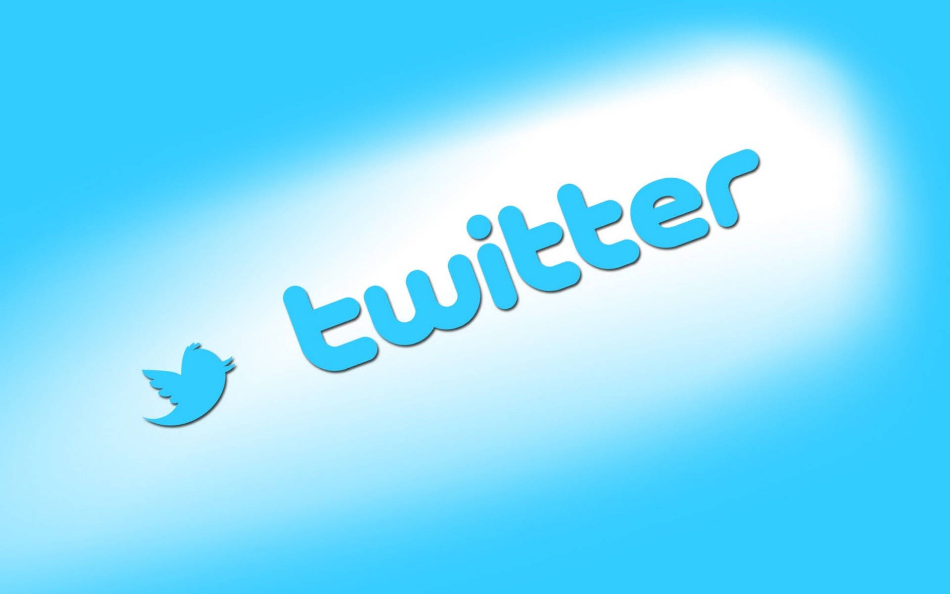 Social Media Twitter Blue Bird Logo Background