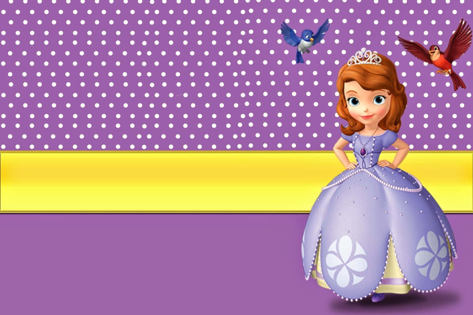 Sofia The First Dreams Big Background