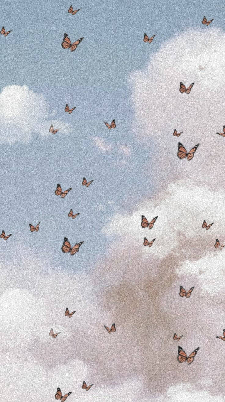Soft Aesthetic Butterflies Background