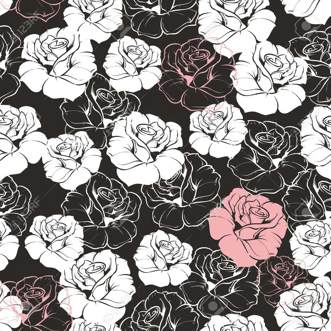 Soft And Bold: The Perfect Color Combination Of Pink, Black And White Background