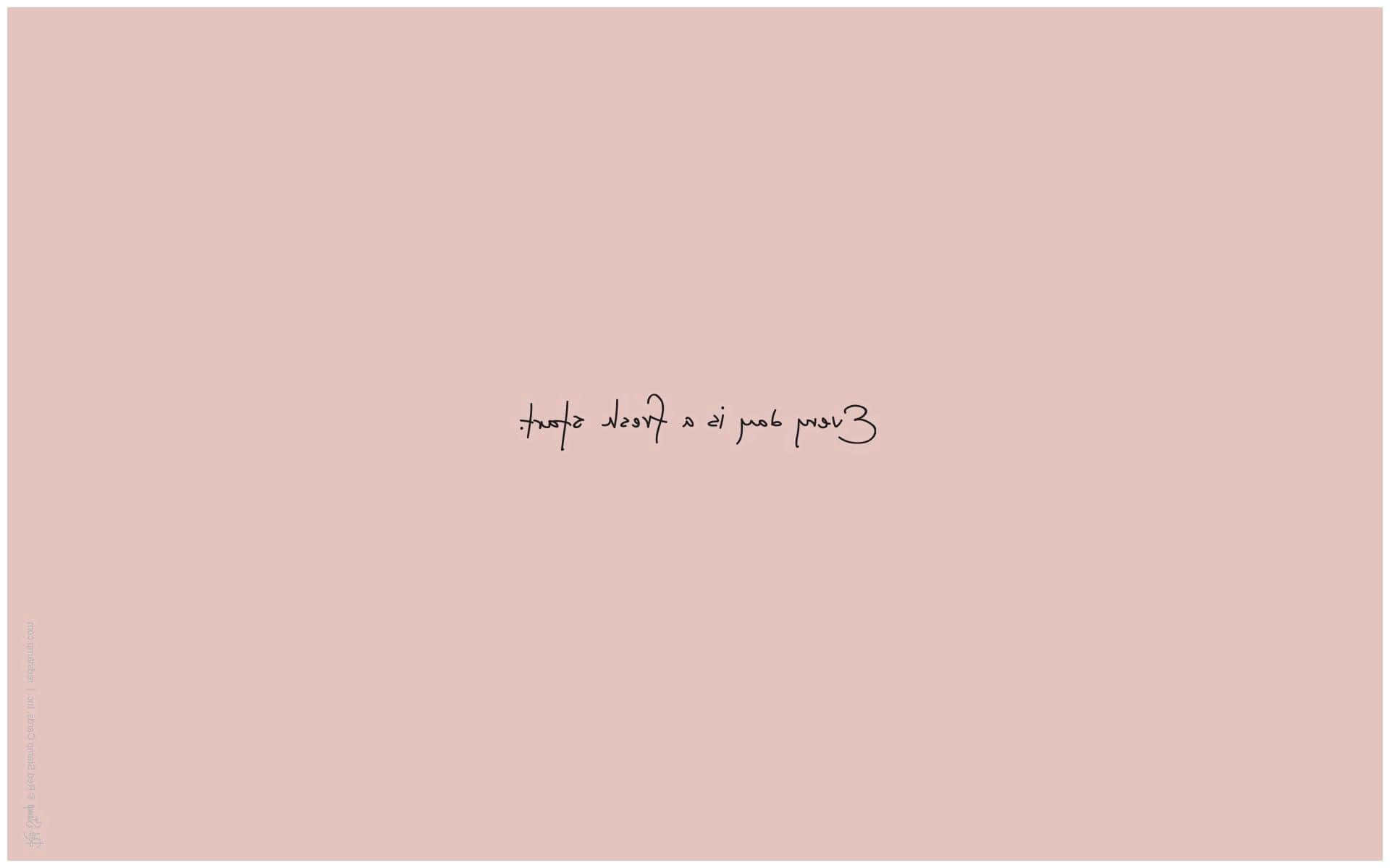 Soft And Feminine Pastel Peach Aesthetic Background