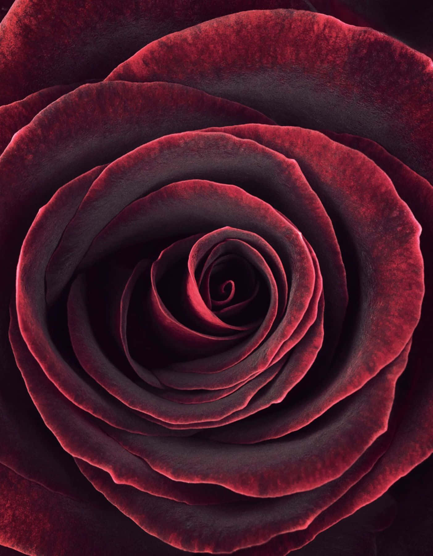 Soft And Velvety, This Maroon Aesthetic Is Perfect For Adding Calm Vibes To Your Surroundings. Background