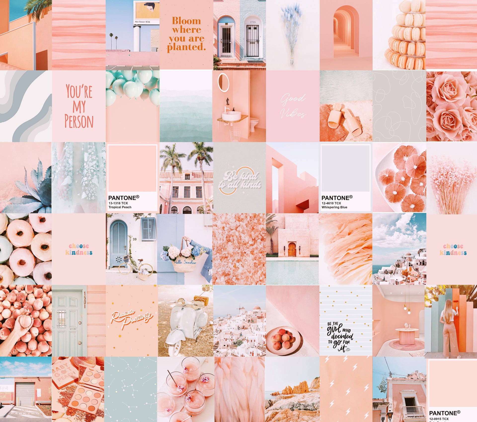 Soft Peach Aesthetic Collage Background