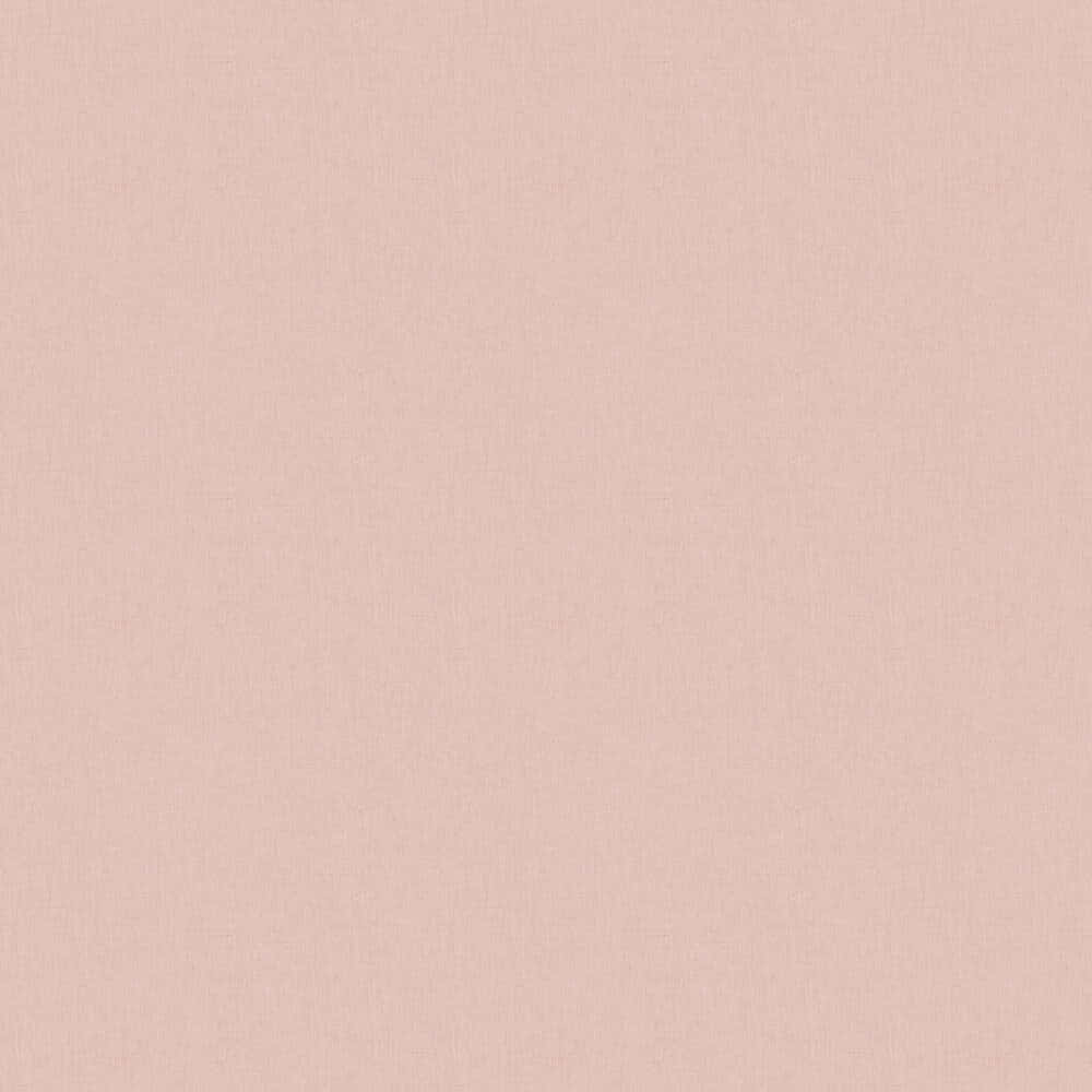 Soft Pink 1000 X 1000