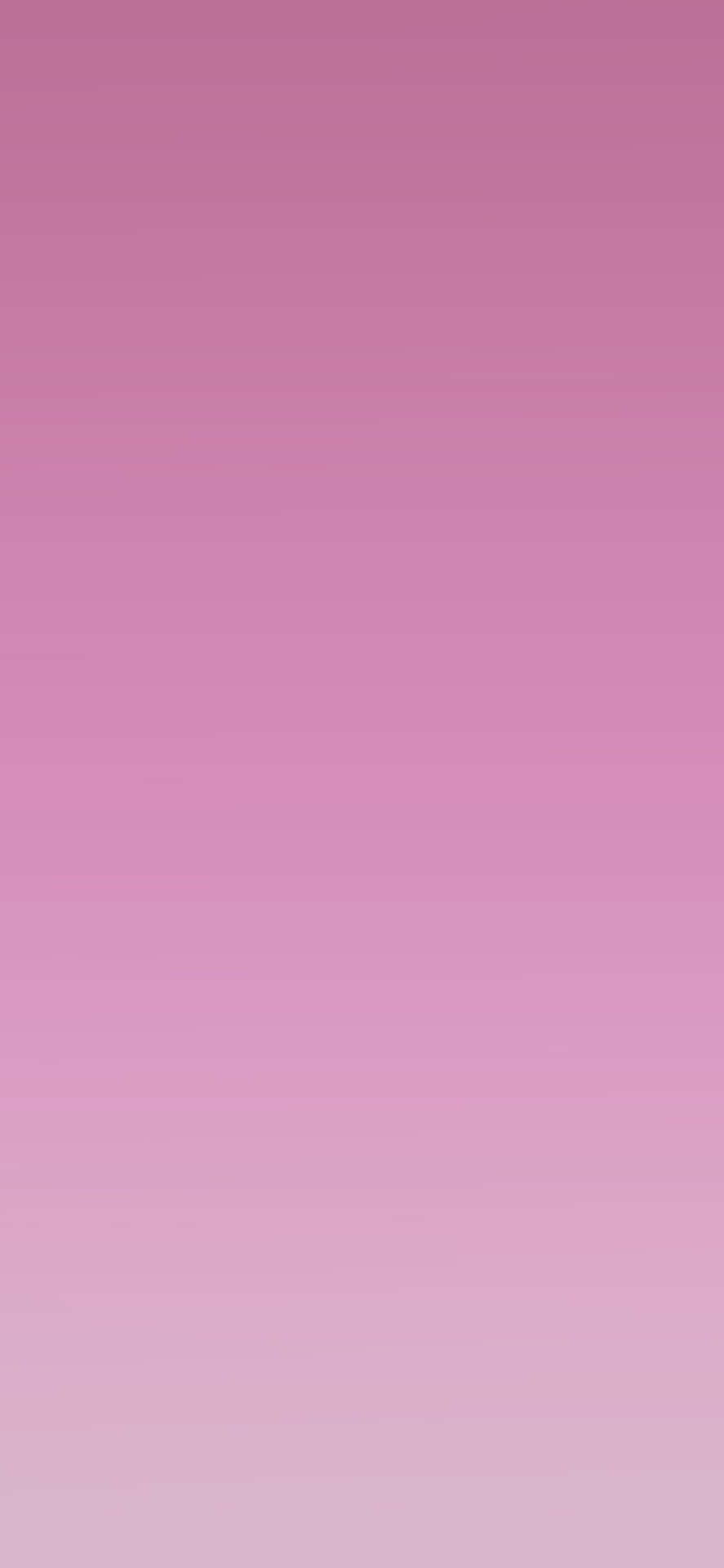 Soft Pink 1125 X 2436 Background