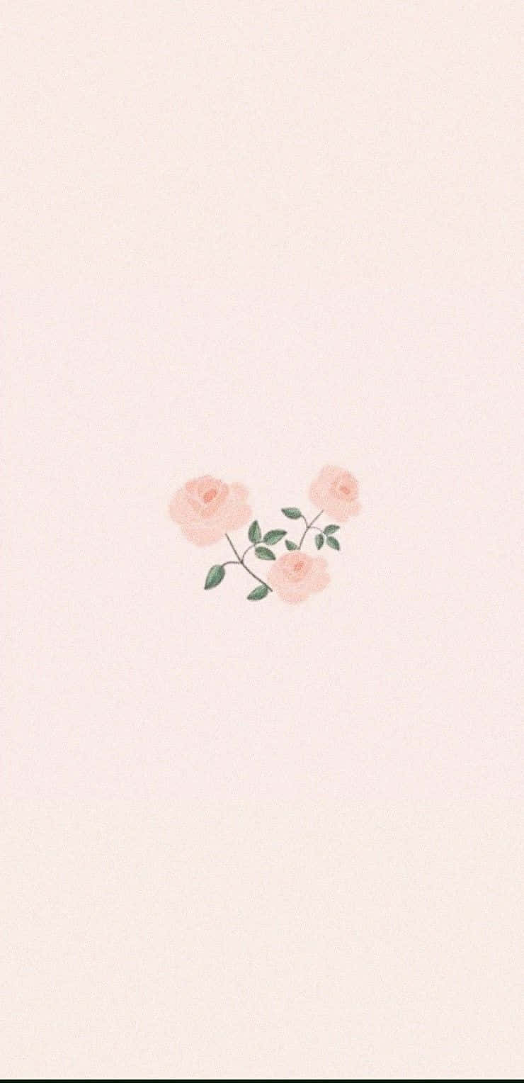 Soft Pink Roses Background