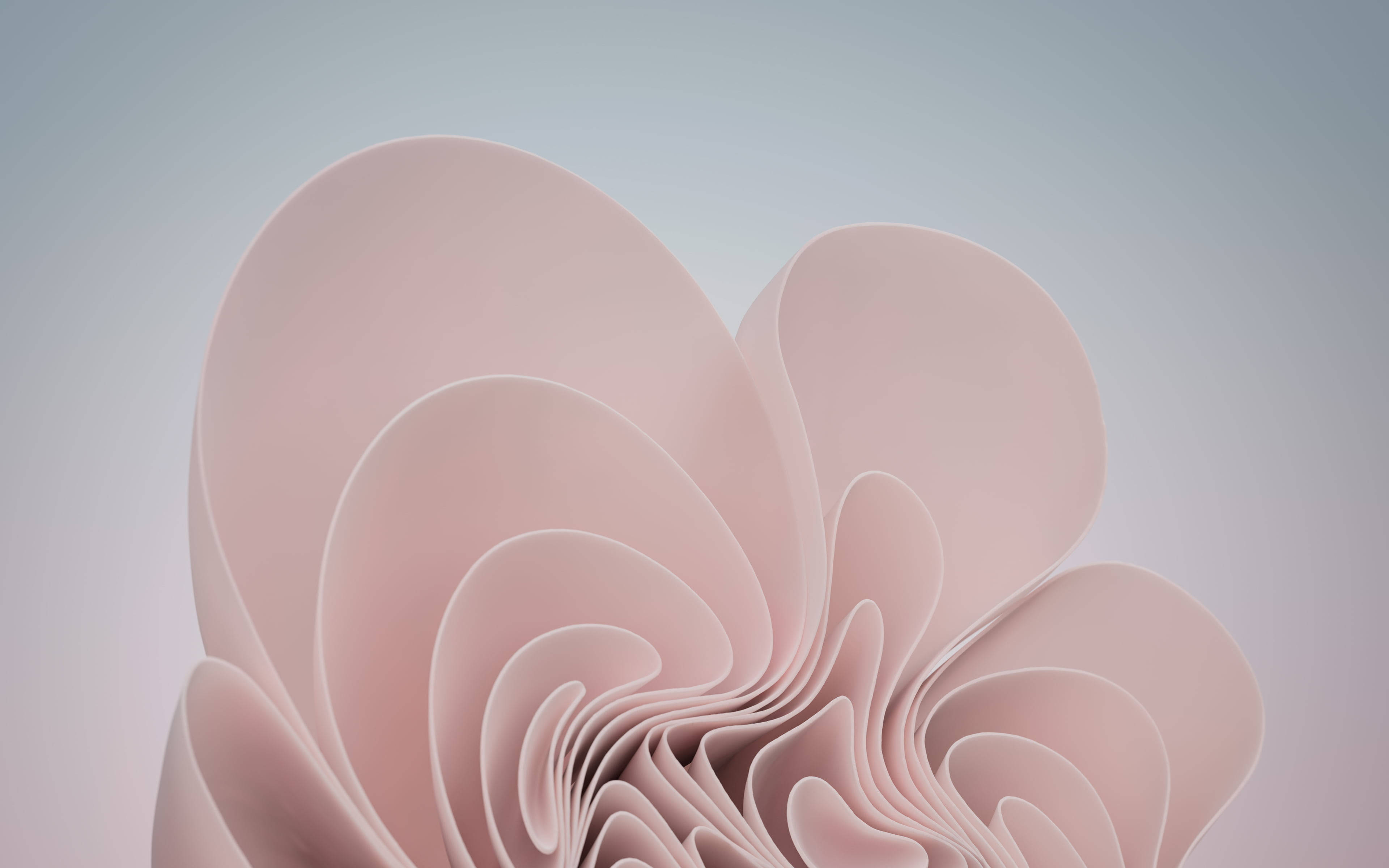 Soft Pink Swirls Backgrounds