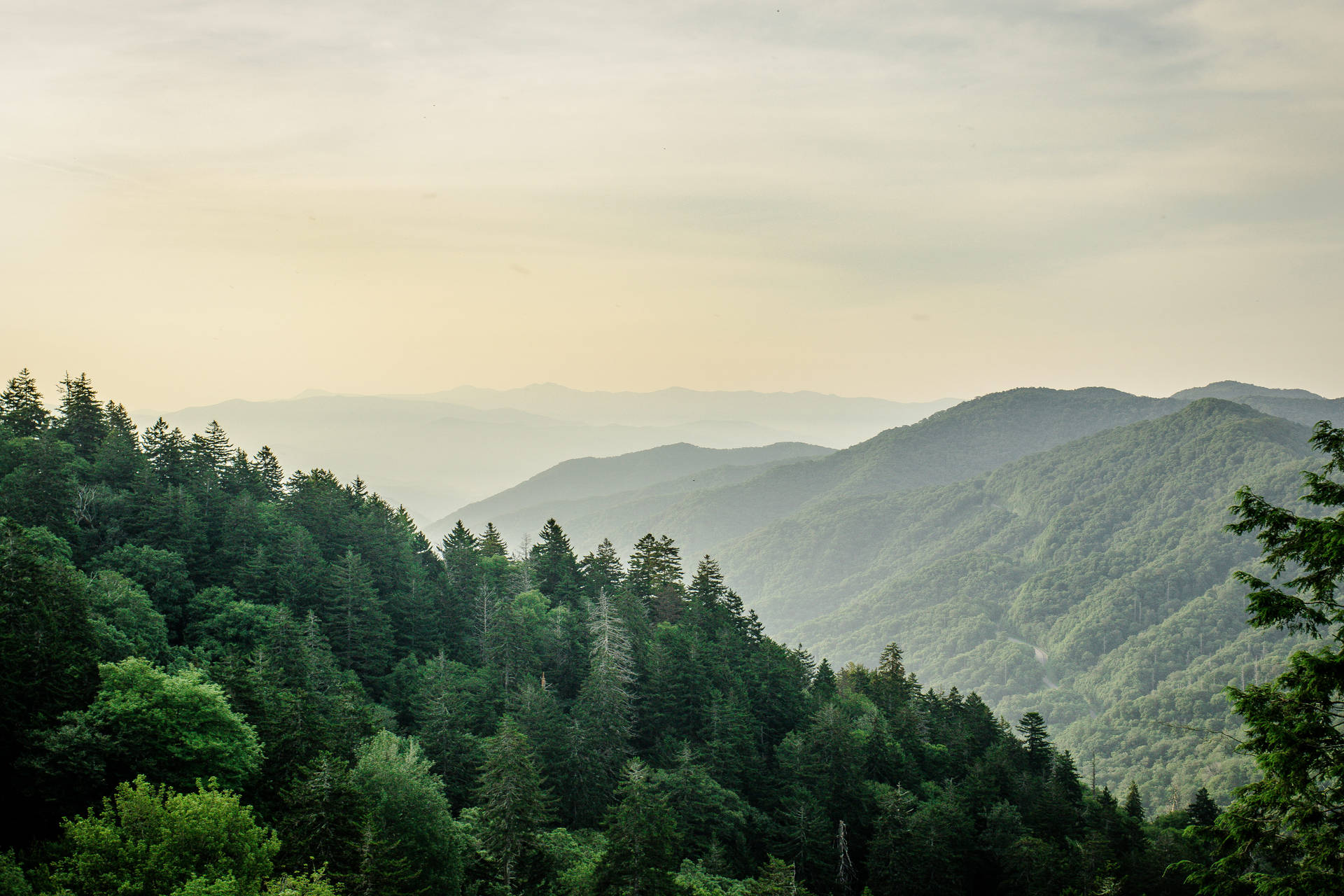 Soft Yellow Hazy Smoky Mountains Background