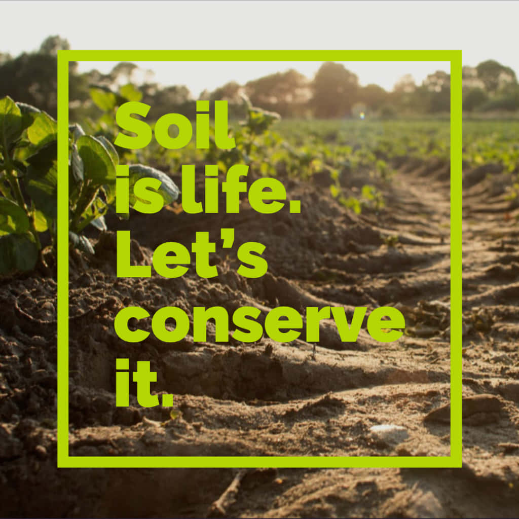 Soil Is Life, Lets Conserve It Background