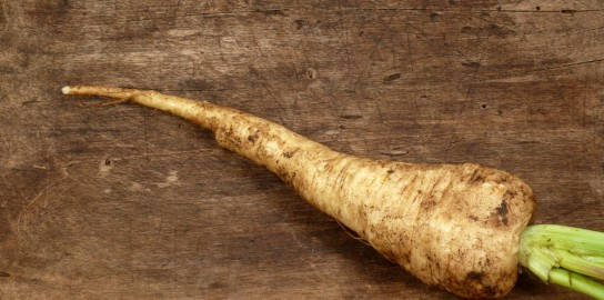 Soiled Parsnip Root Crop Vegetable Background