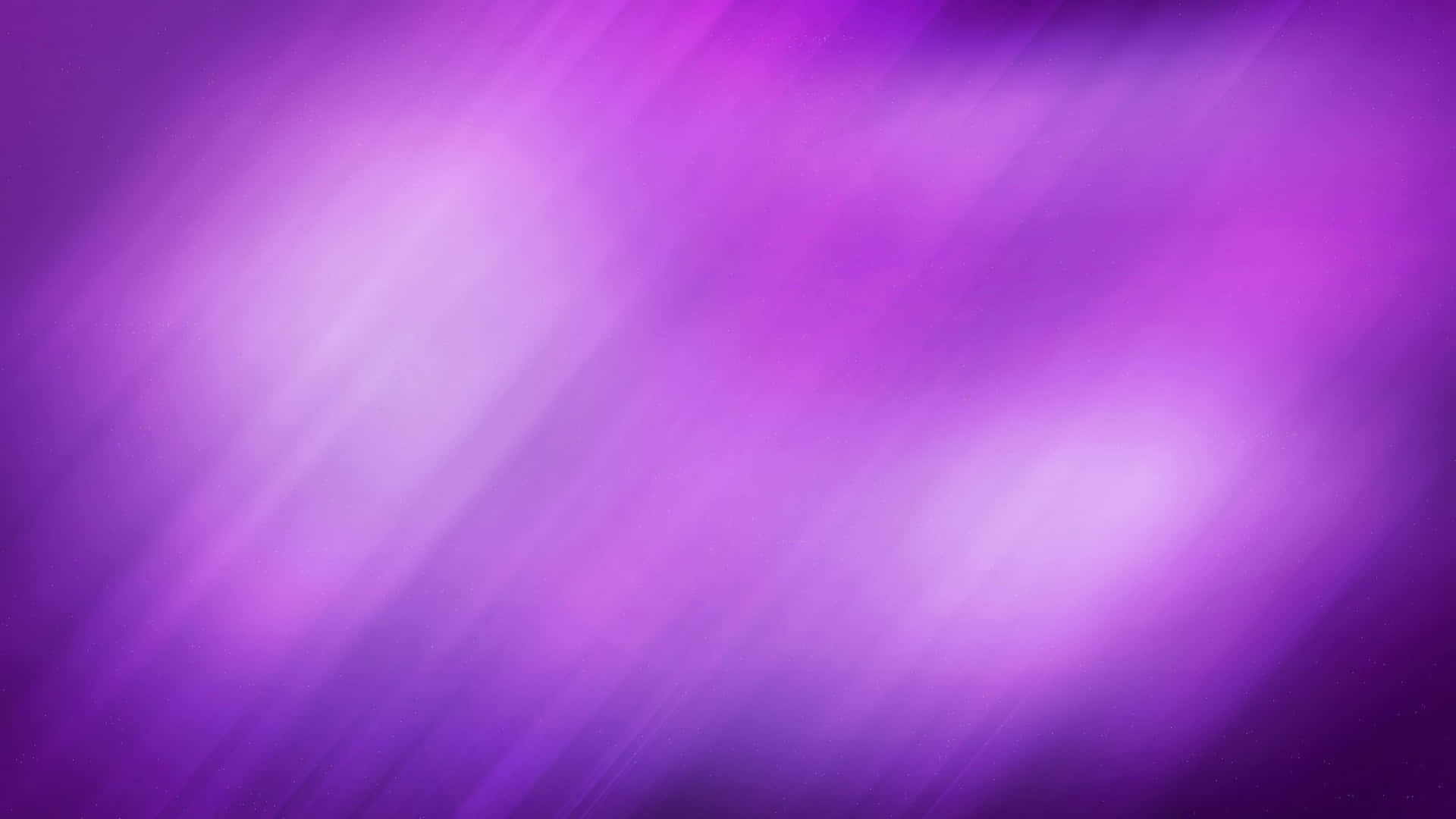 Solid Background Fuzzy Violet Color