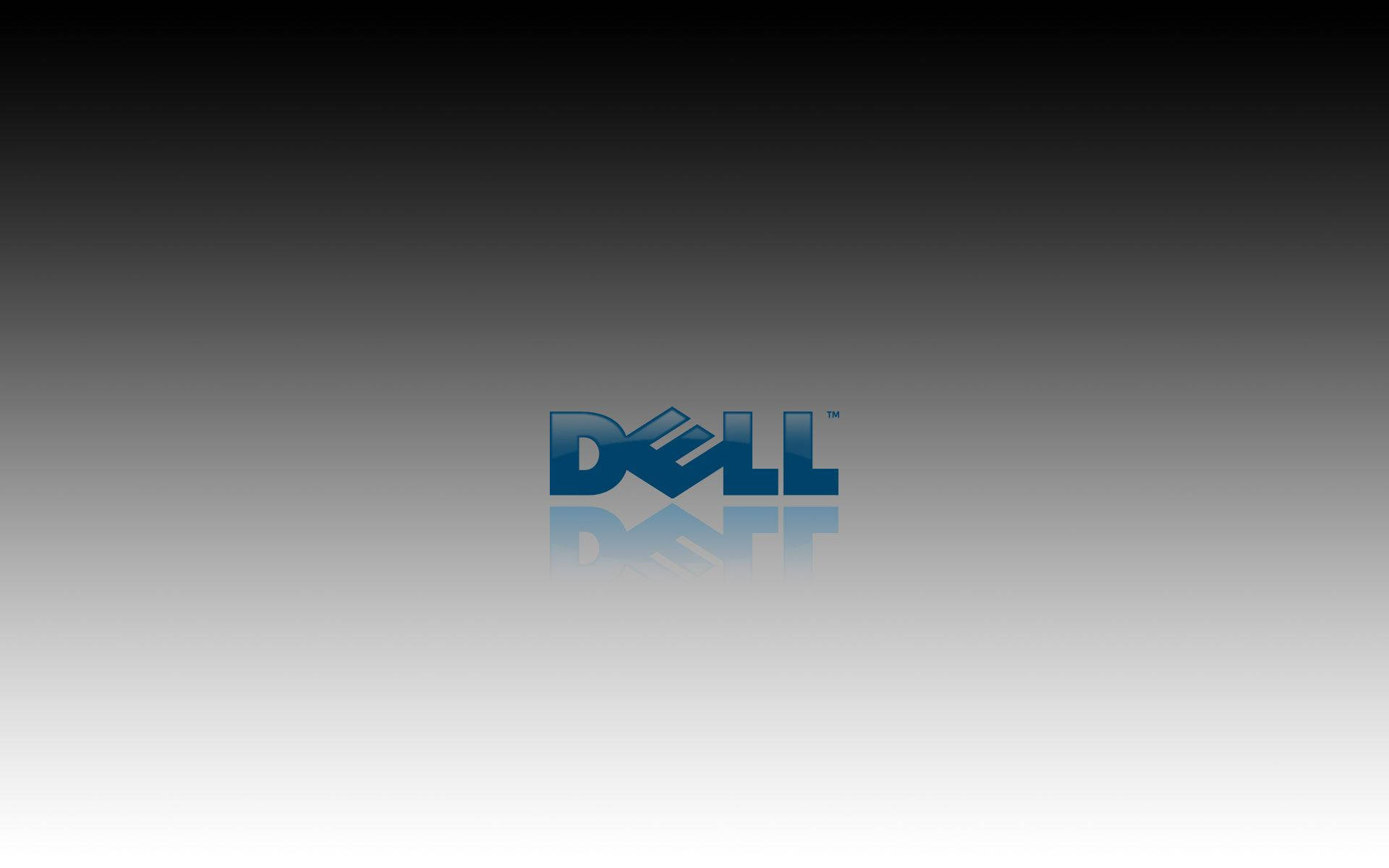 Solid Blue Dell Hd Logo Background
