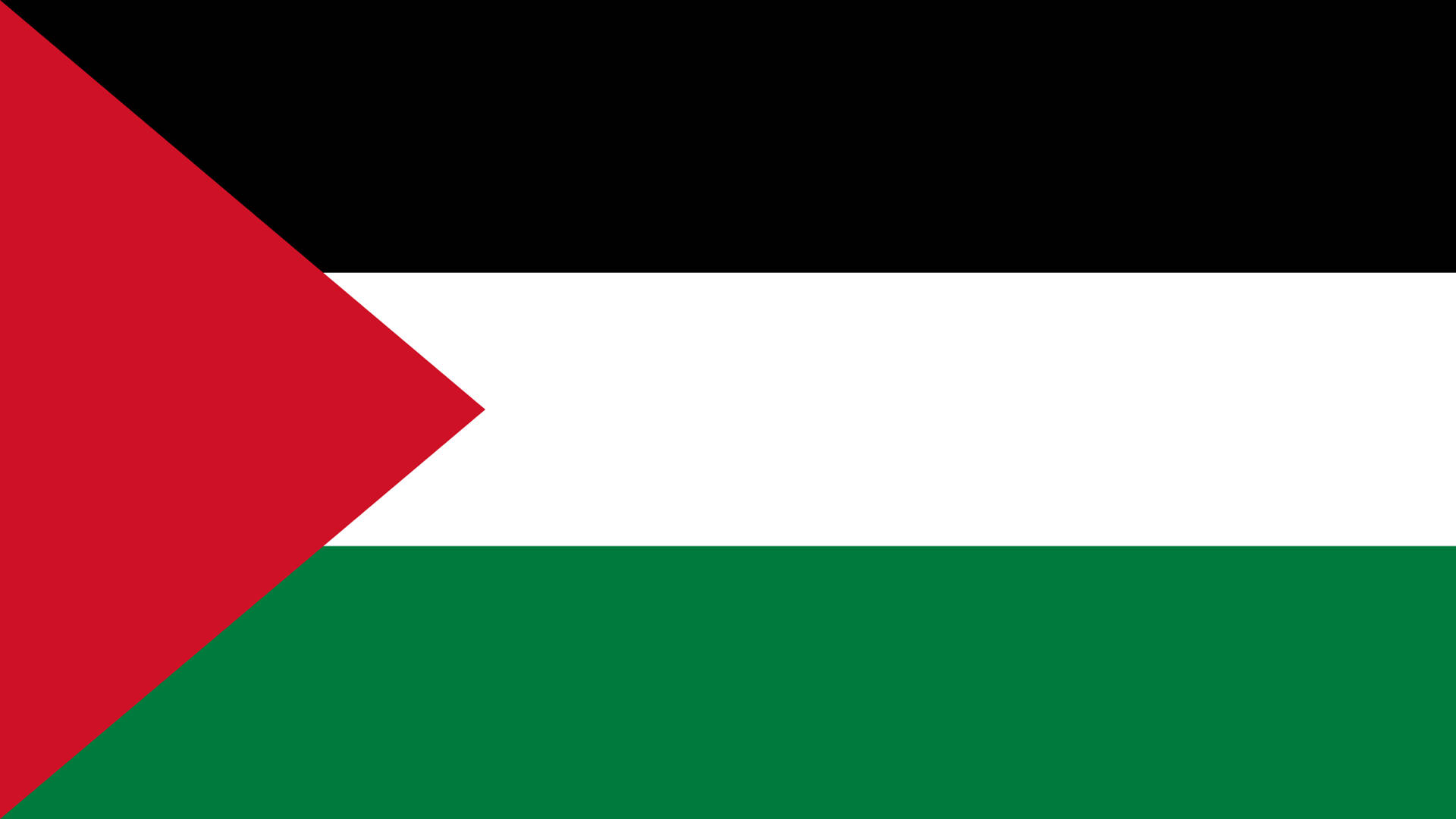 Solid Colors Of Palestine Flag Background