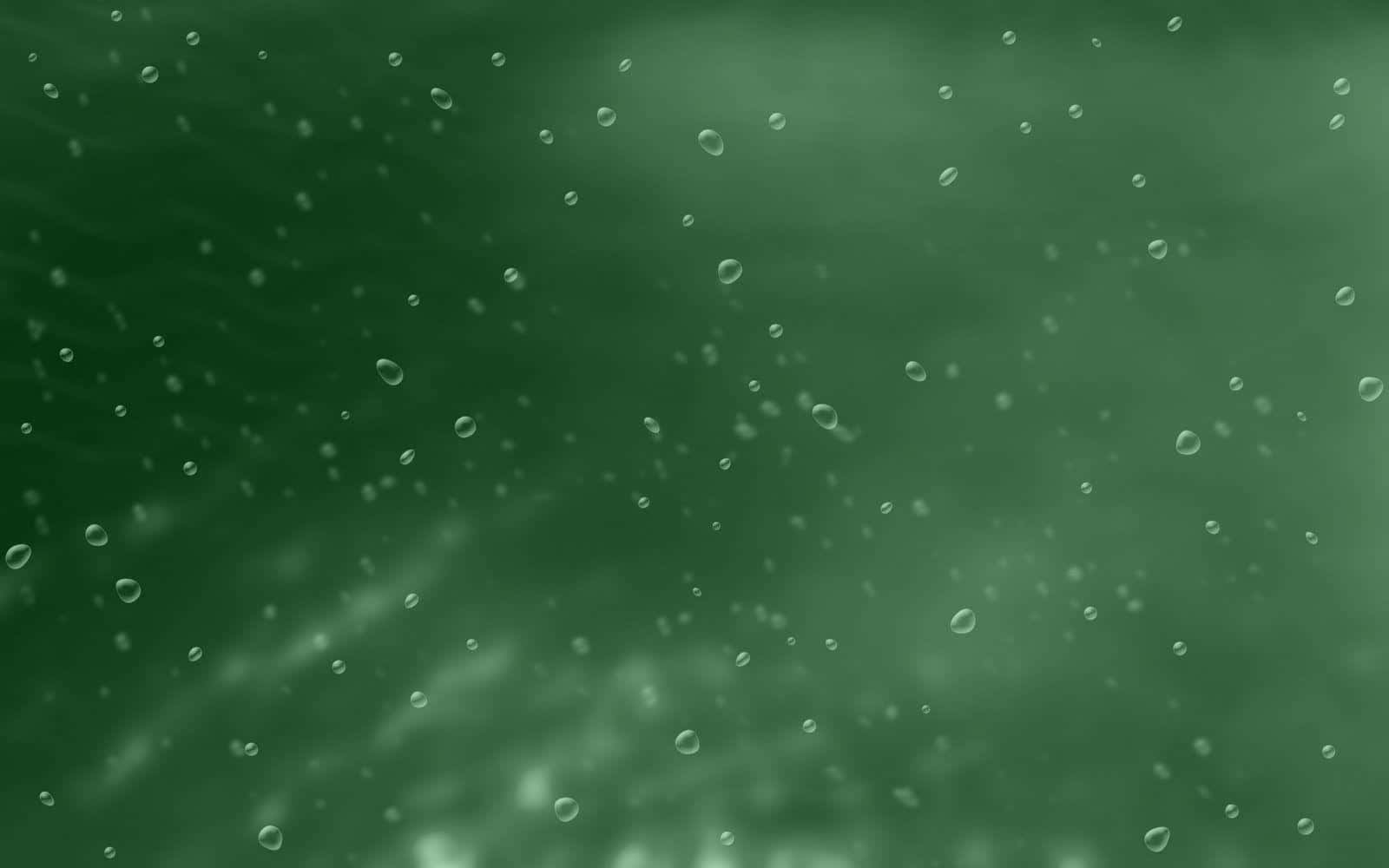 Solid Green Tiny Bubbles