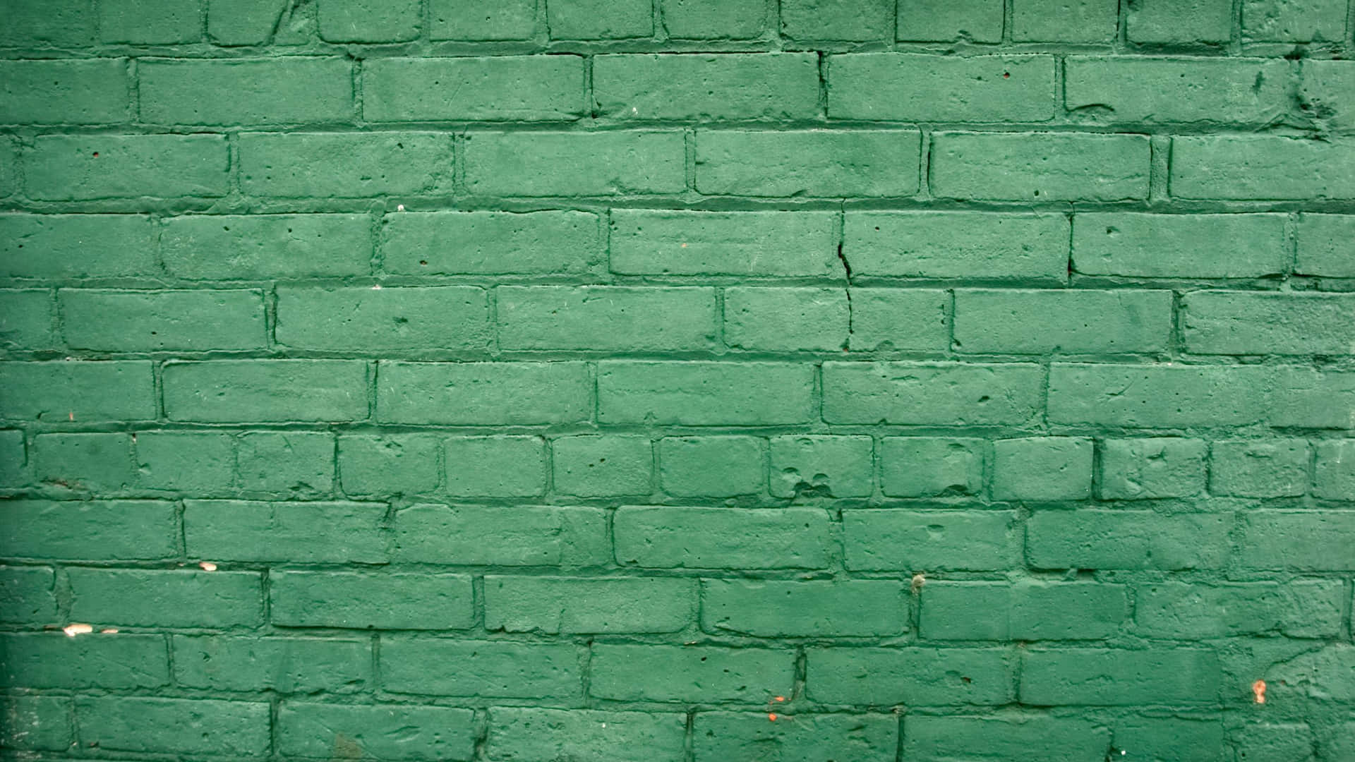 Solid Green Wallpaper Background