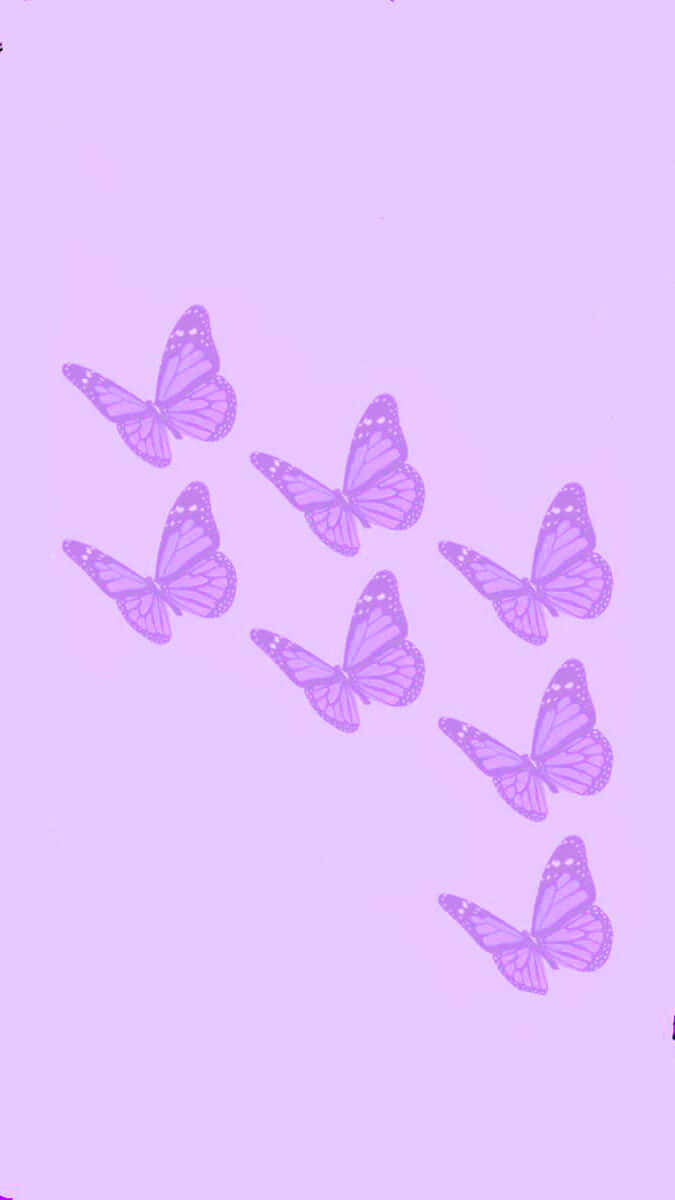 Solid Light Purple Butterflies Flying Background