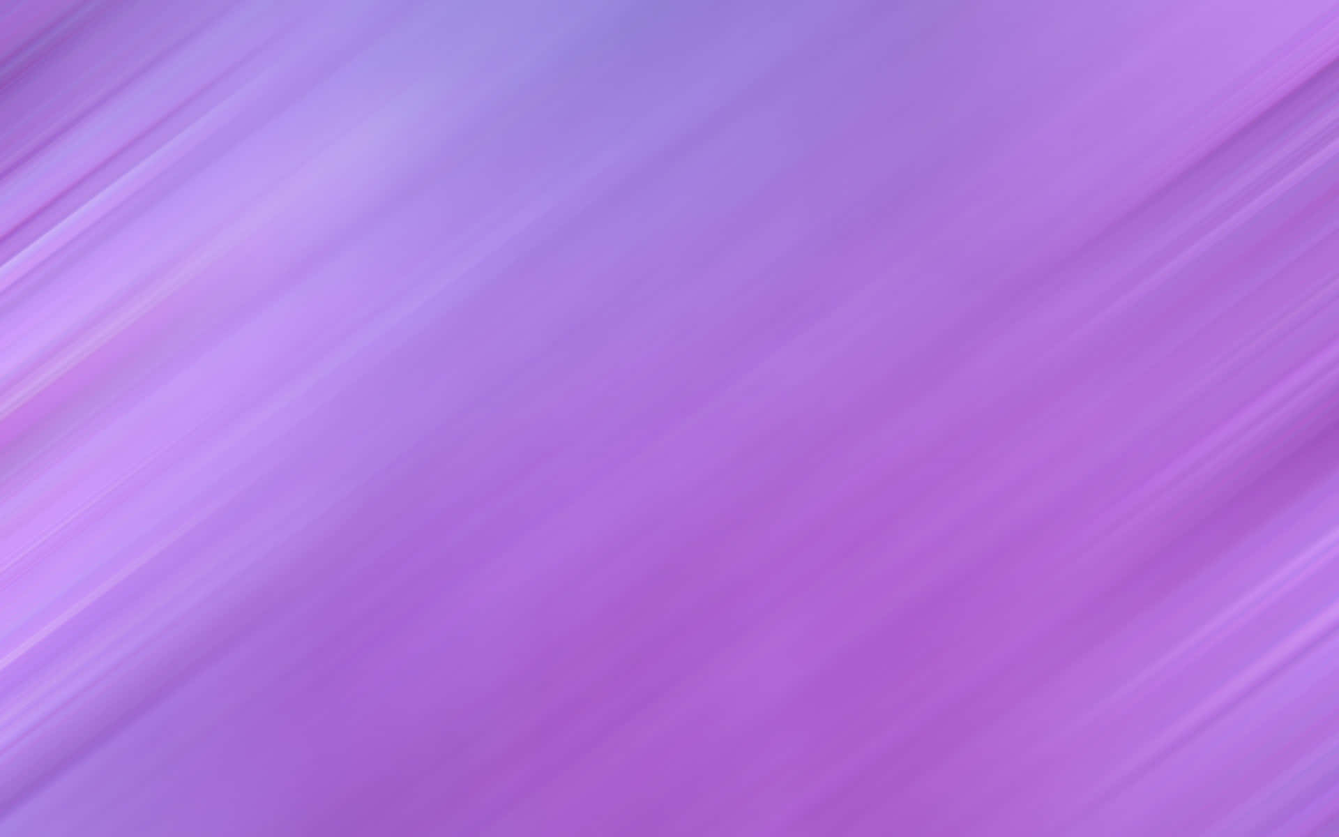 Solid Light Purple Color Background Background