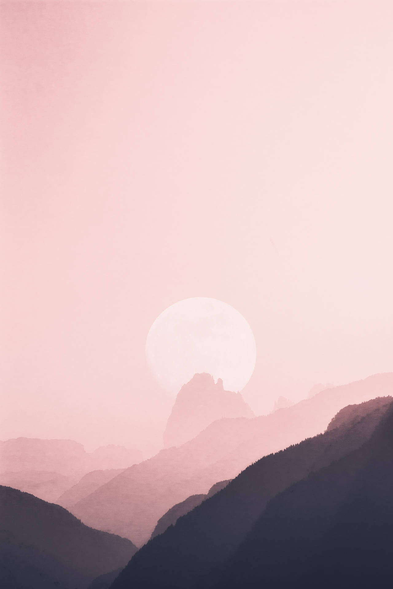 Solid Pastel Color Pink Moon