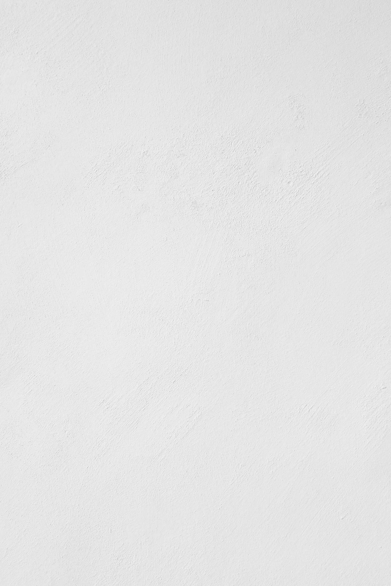 Solid White Gray Background