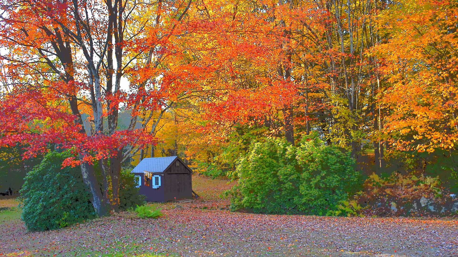 Solitary Autumn Ma Cabin Background