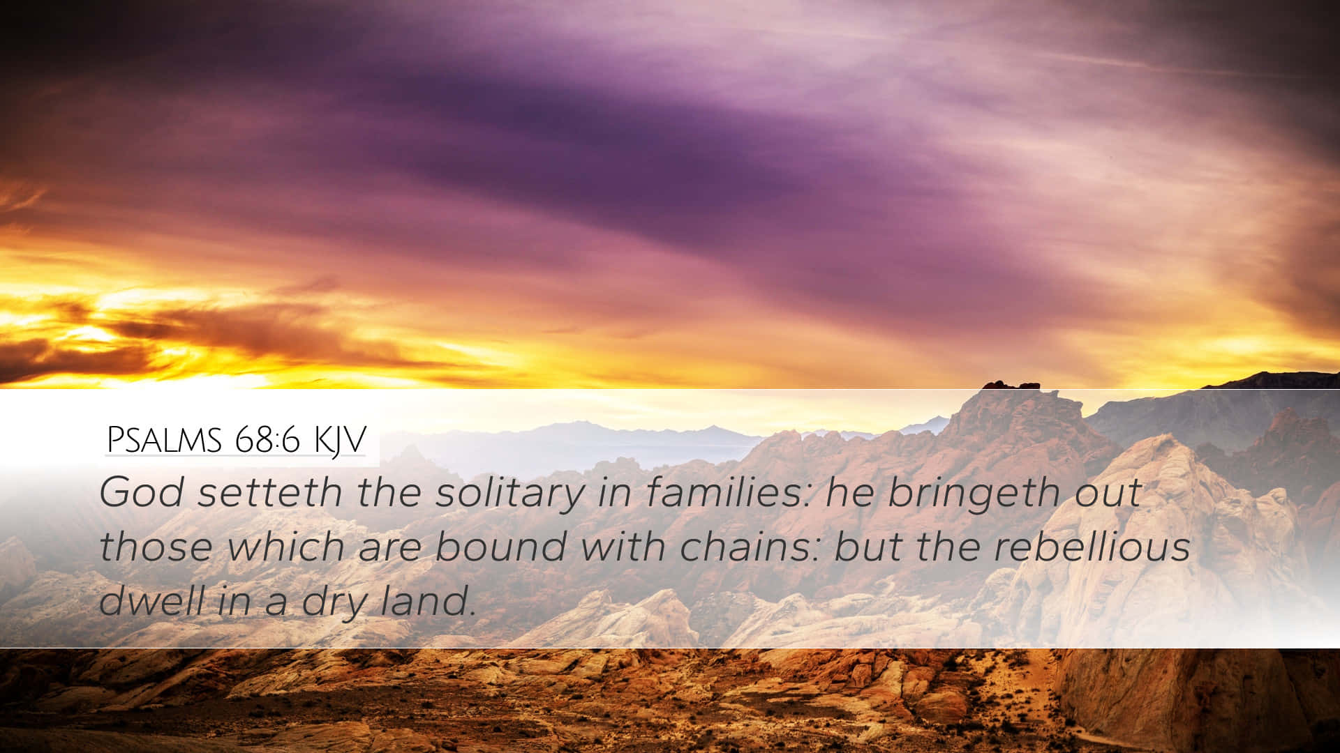 Solitary Bible Verse Background
