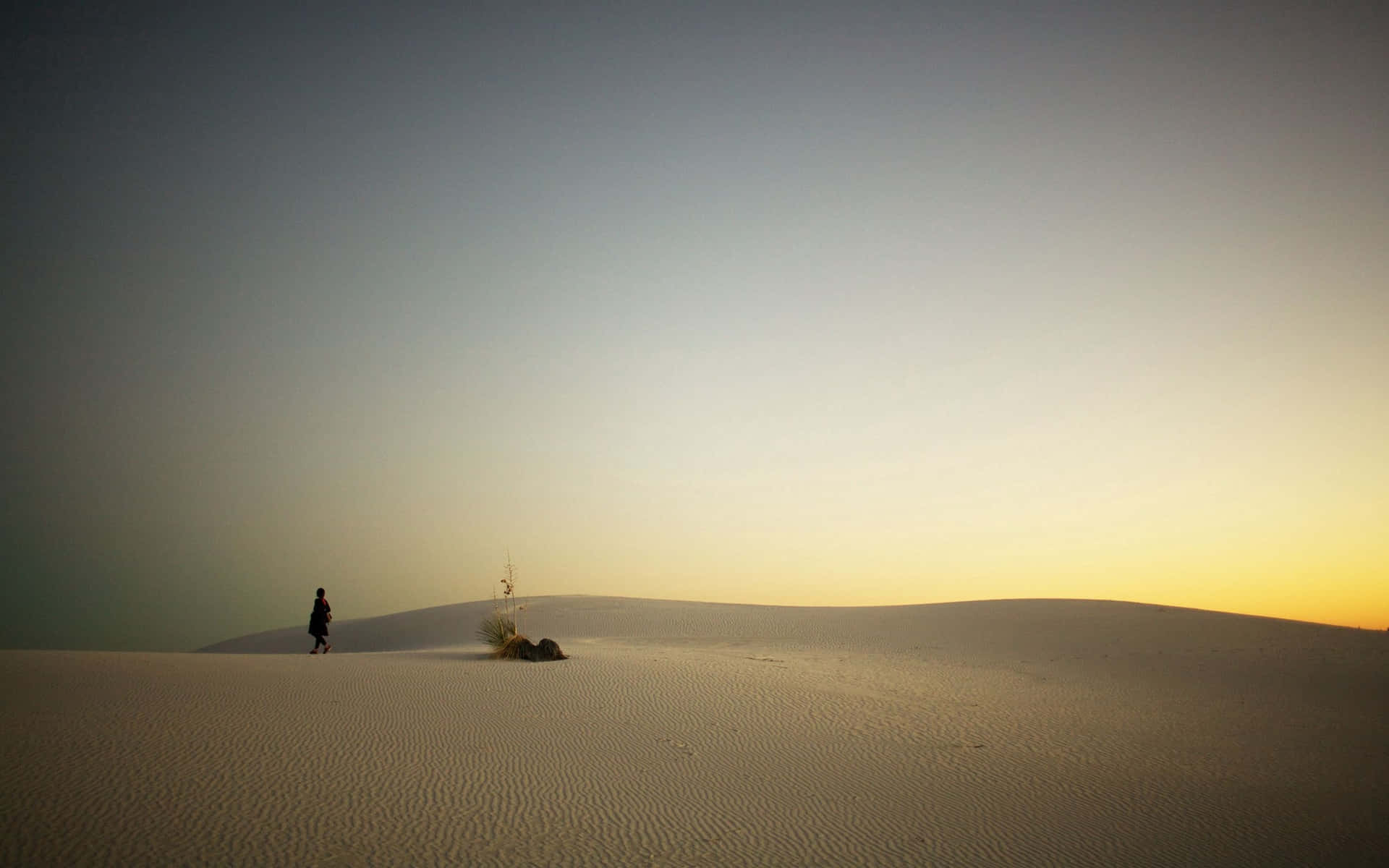 Solitary Desert Walkat Sunset Background