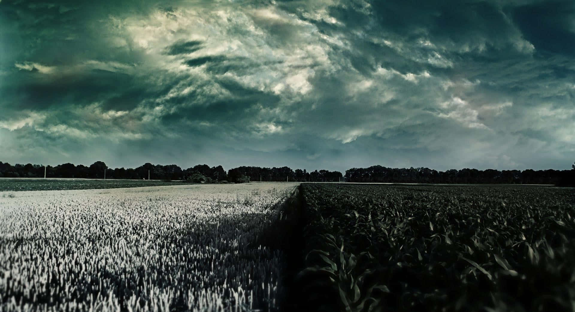 Solitary Nature Photo Background