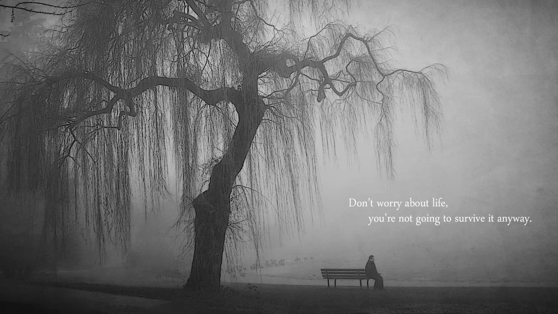 Solitary Person Sitting On Bench Background
